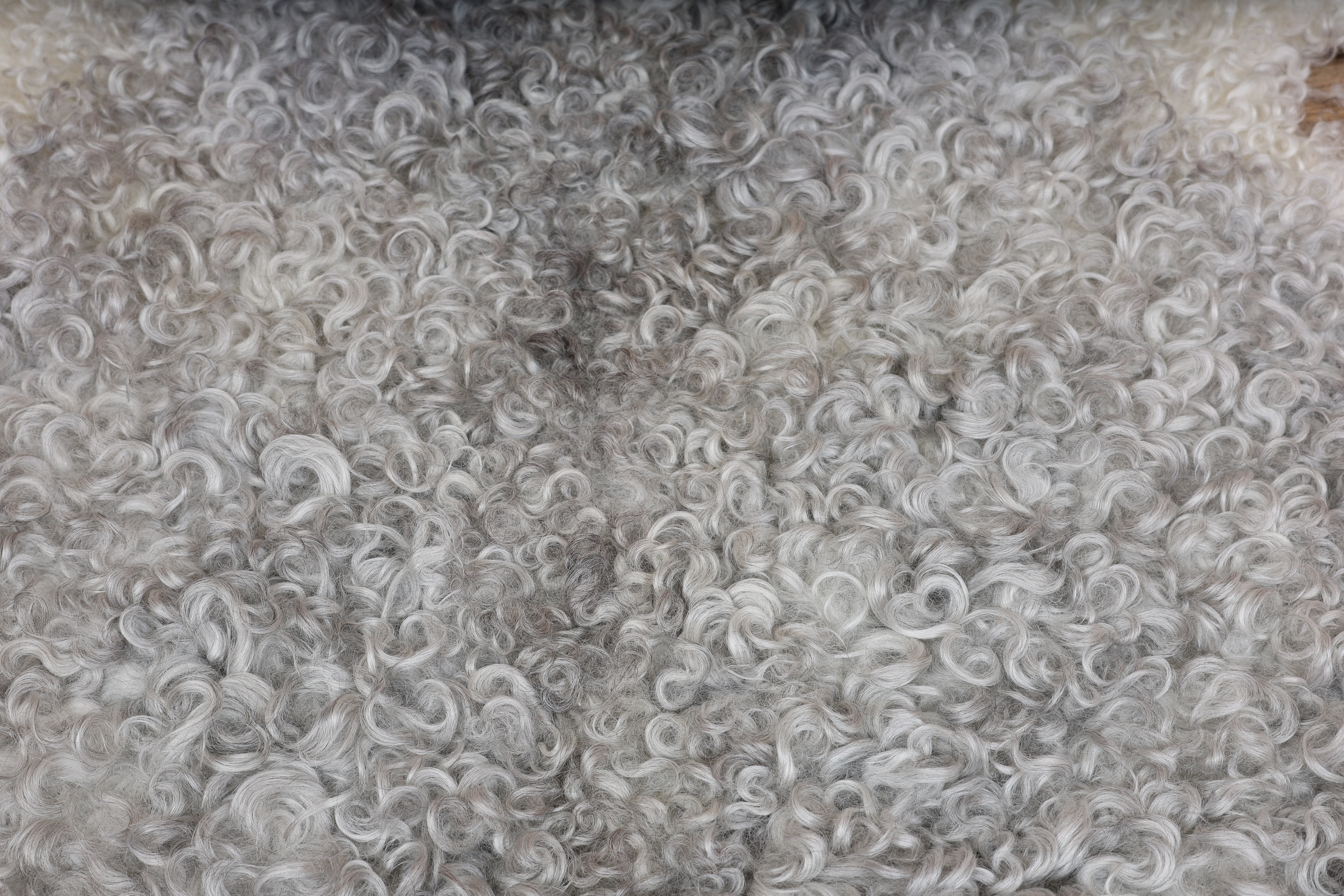 Grey Gotland Sheepskin #7