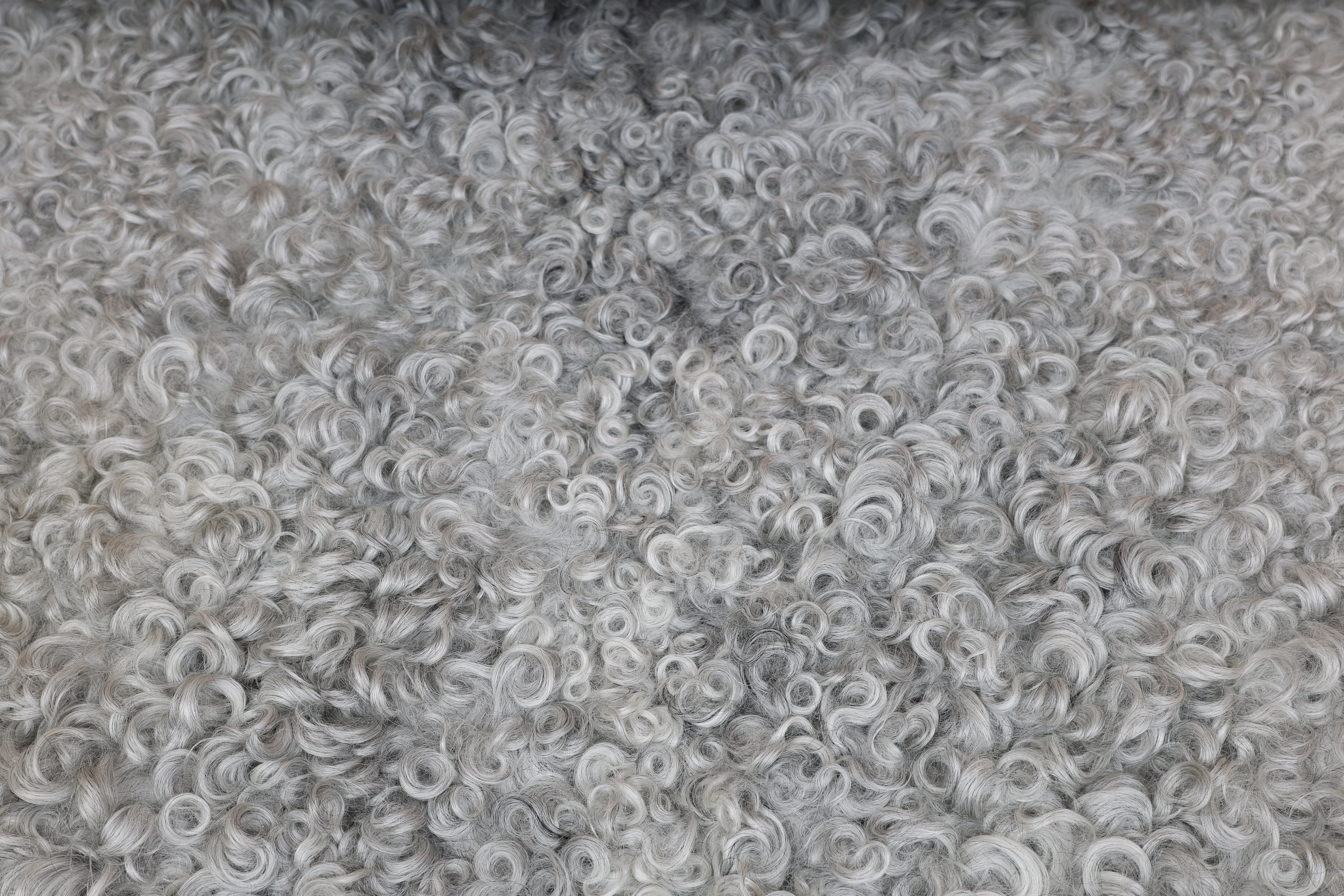 Grey Gotland Sheepskin #8