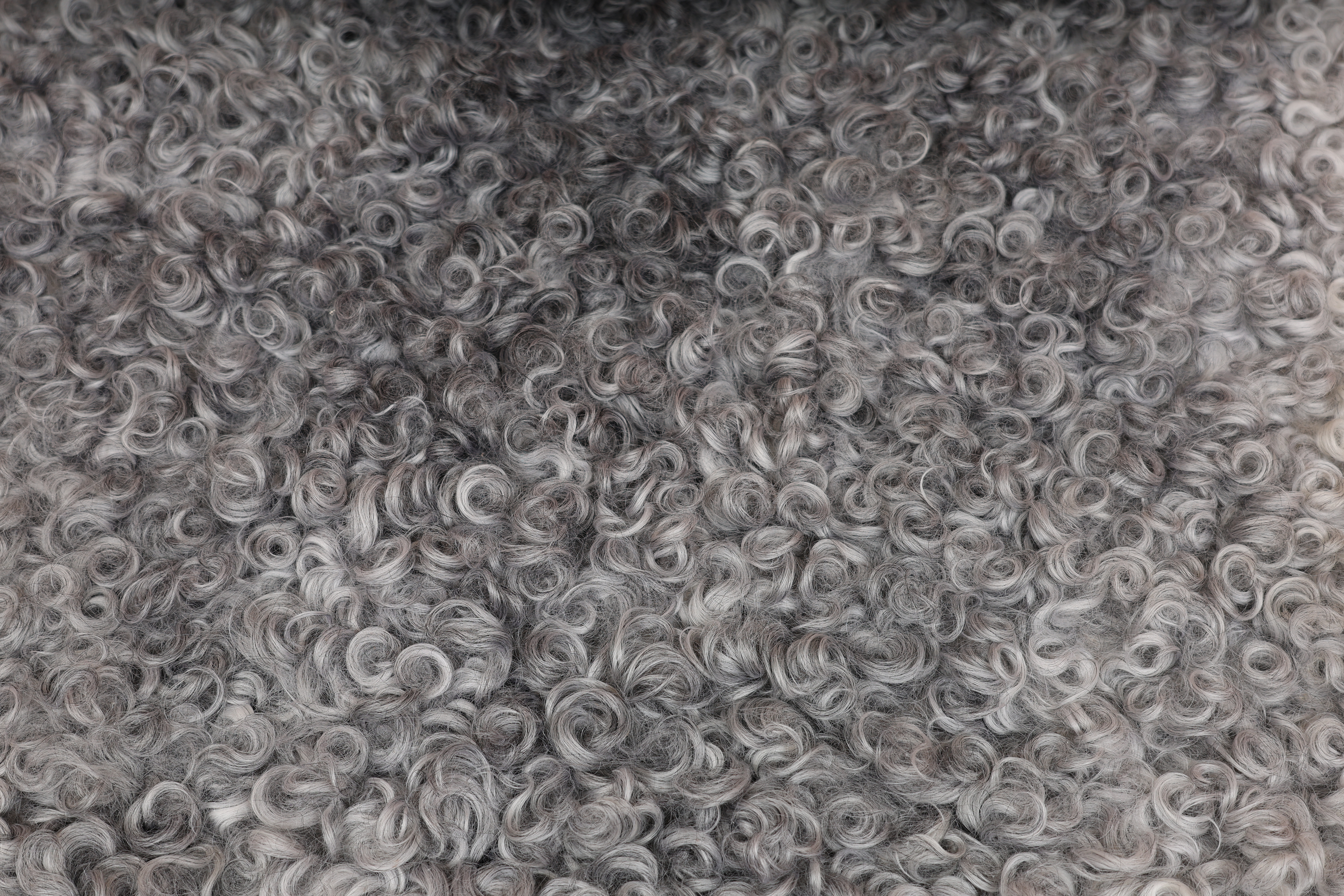 Grey Gotland Sheepskin #10