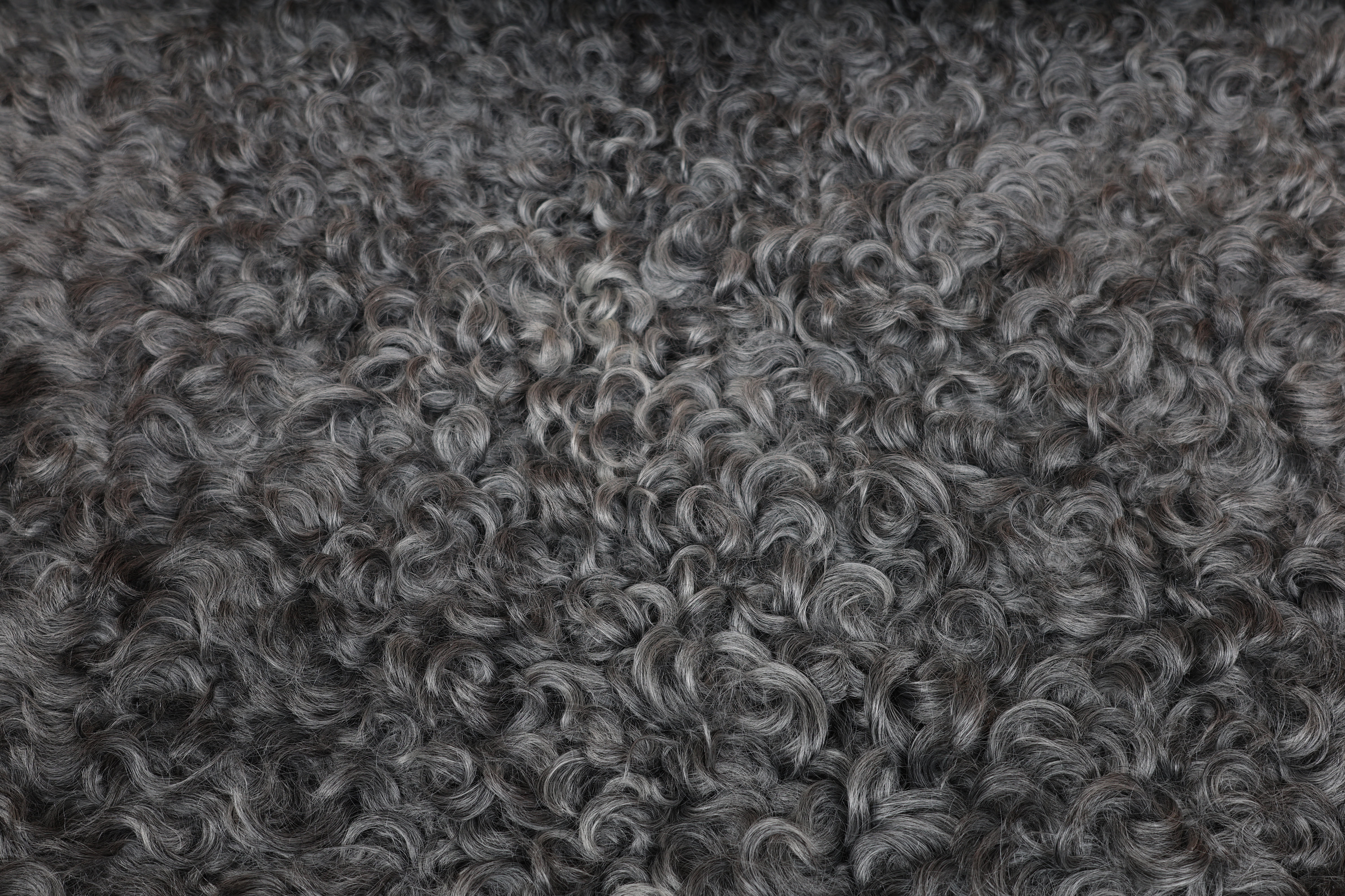 Grey Gotland Sheepskin #2