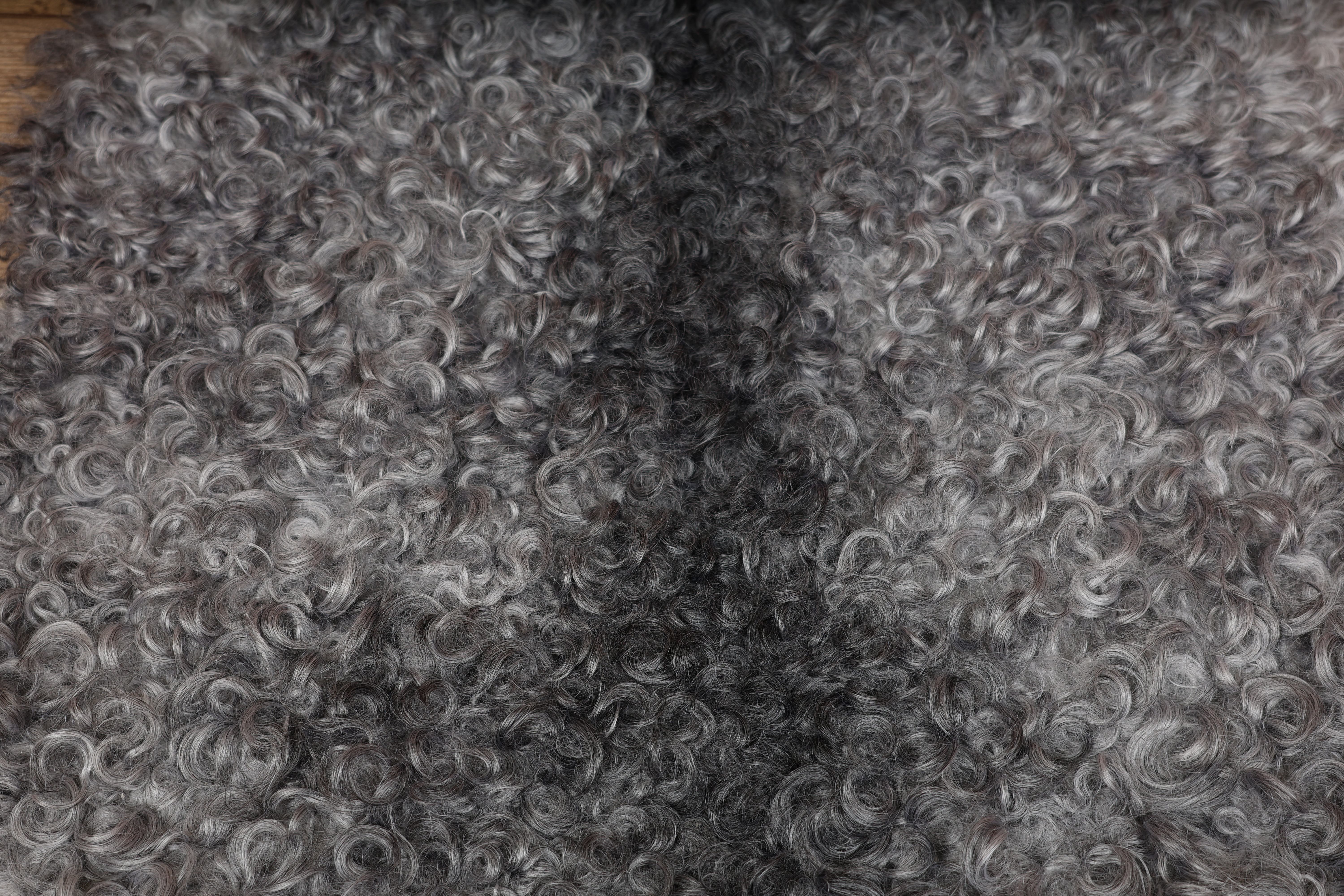 Grey Gotland Sheepskin #4