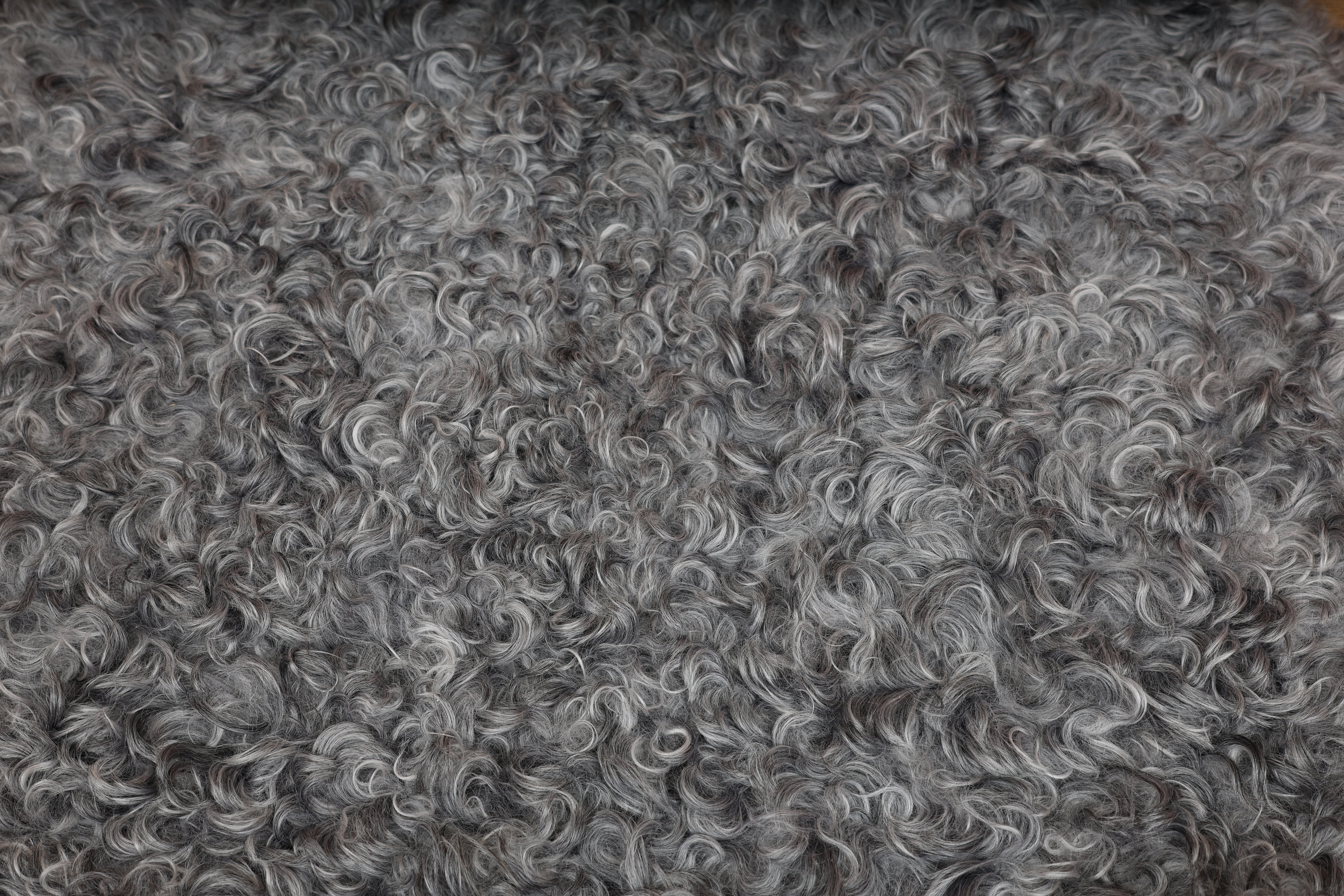 Grey Gotland Sheepskin #5
