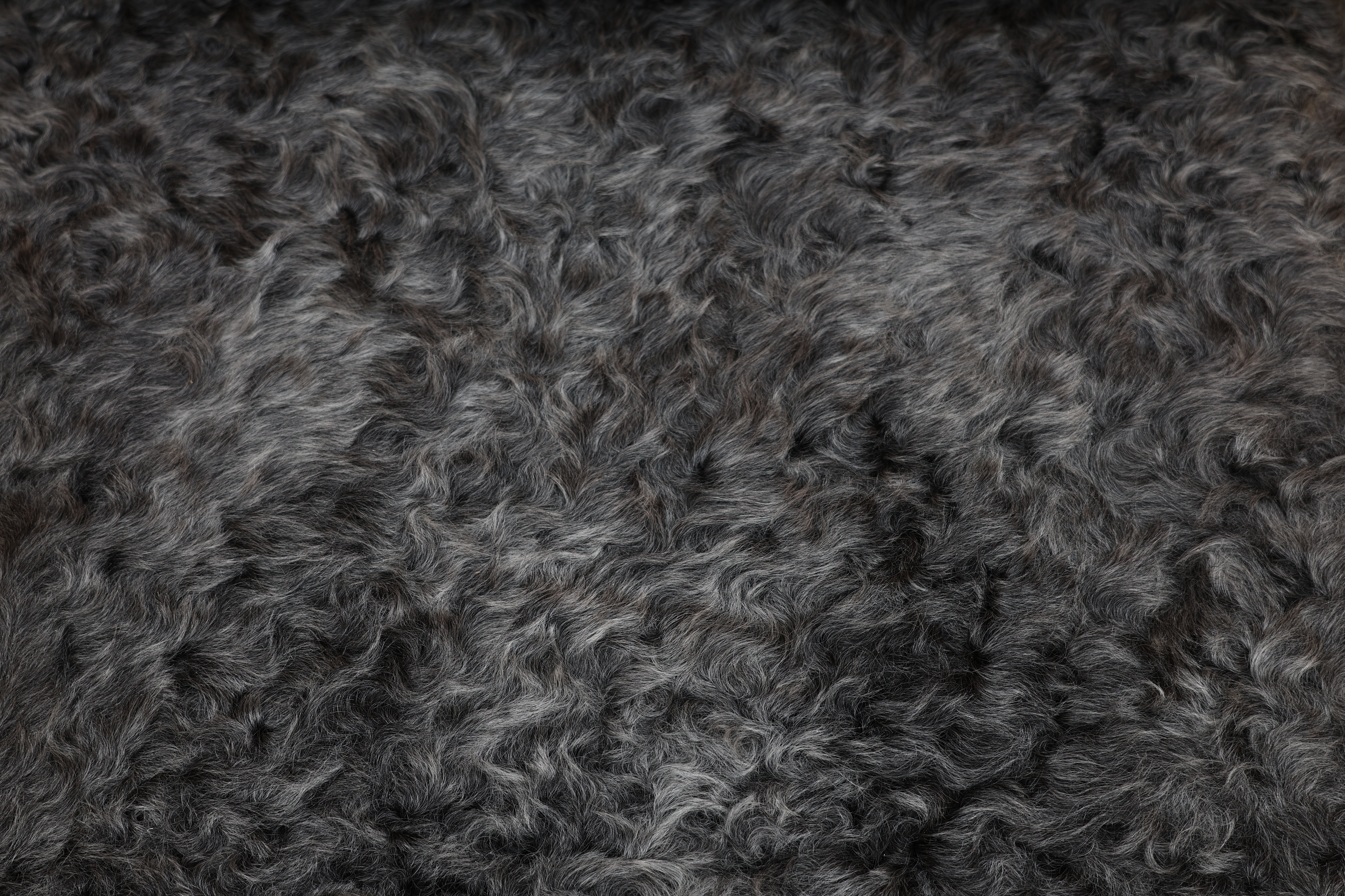 Grey Gotland Sheepskin #12