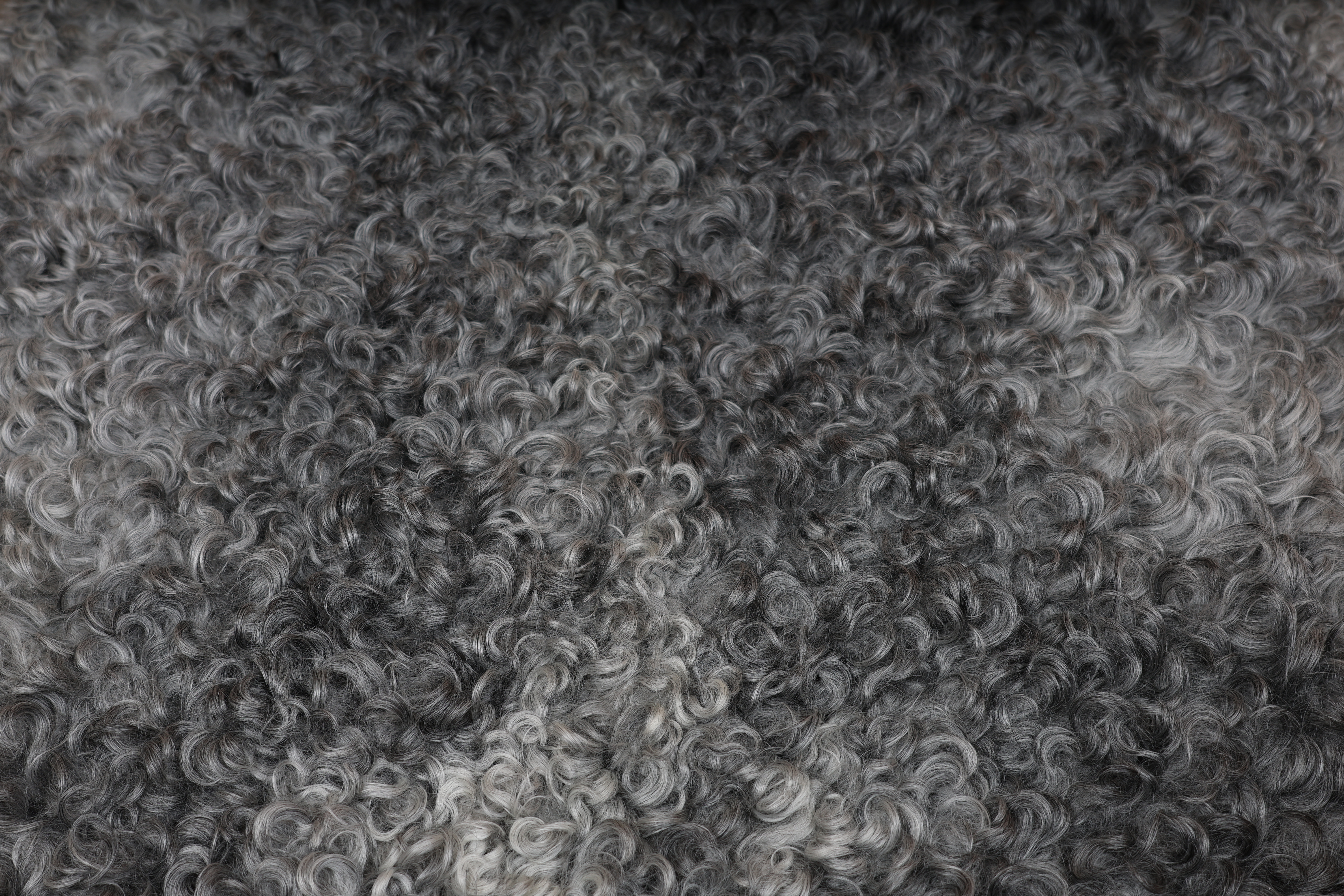 Grey Gotland Sheepskin #15