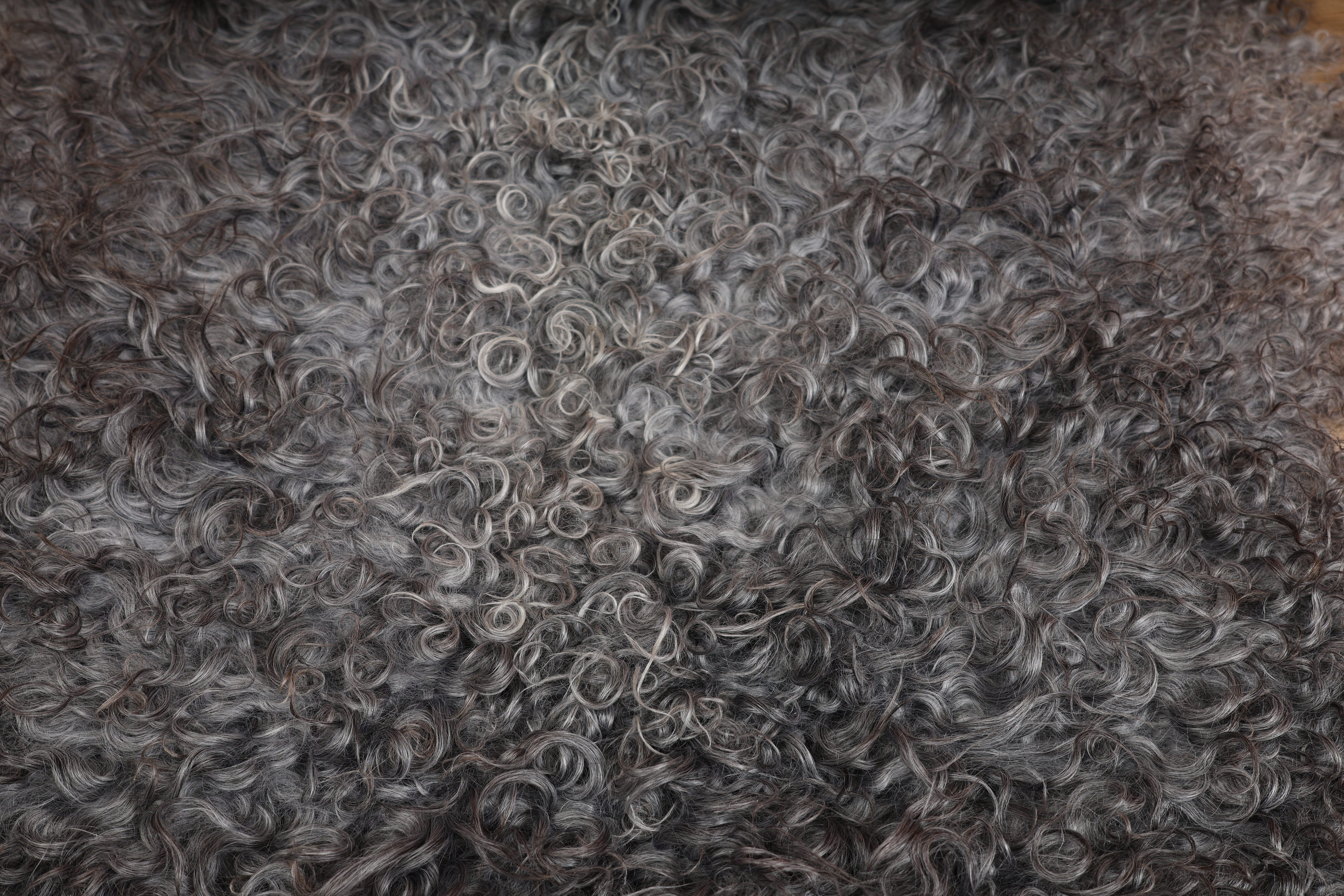 Grey Gotland 'long wool' Sheepskin #3