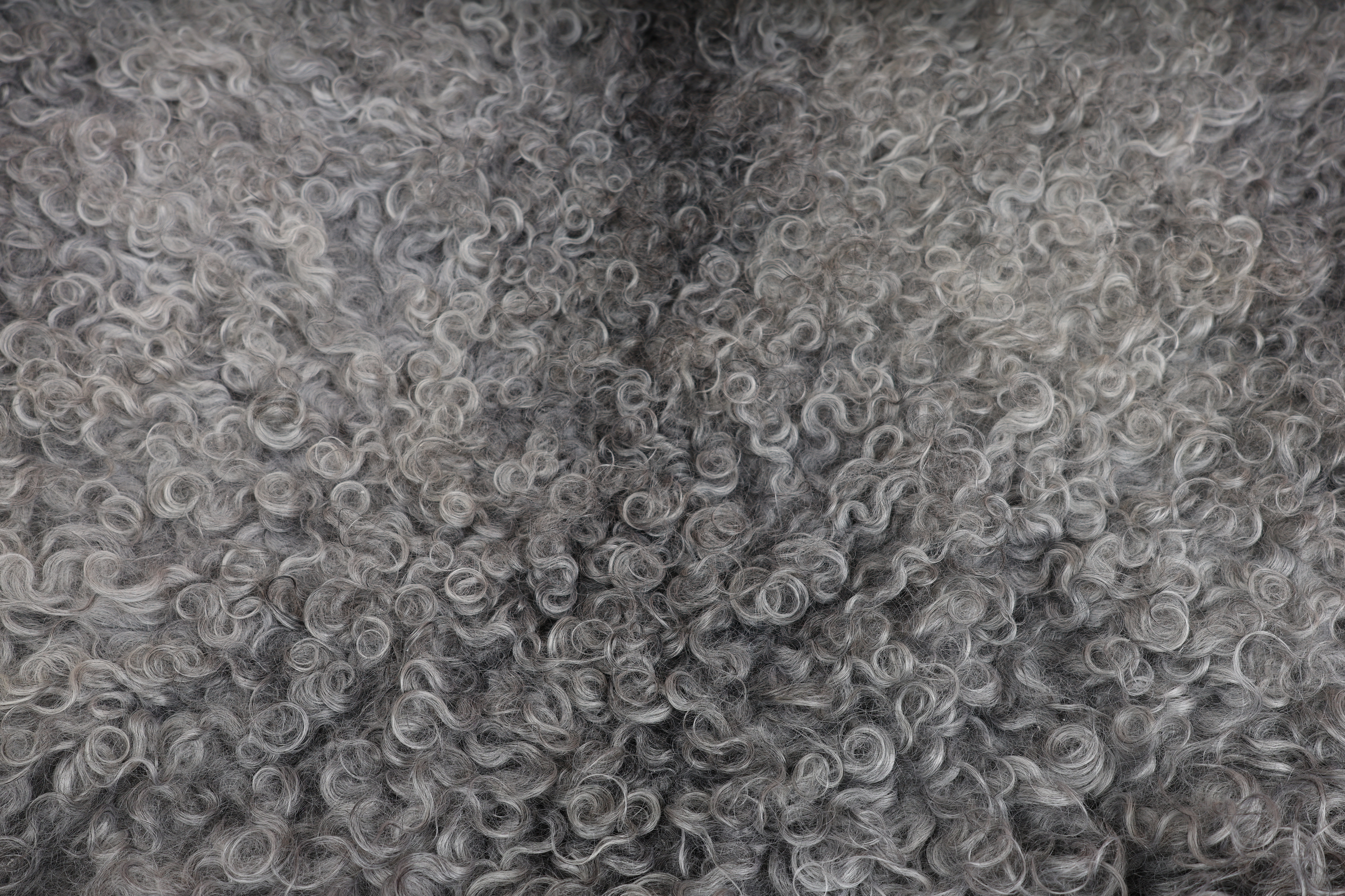 Grey Gotland 'long wool' Sheepskin #4