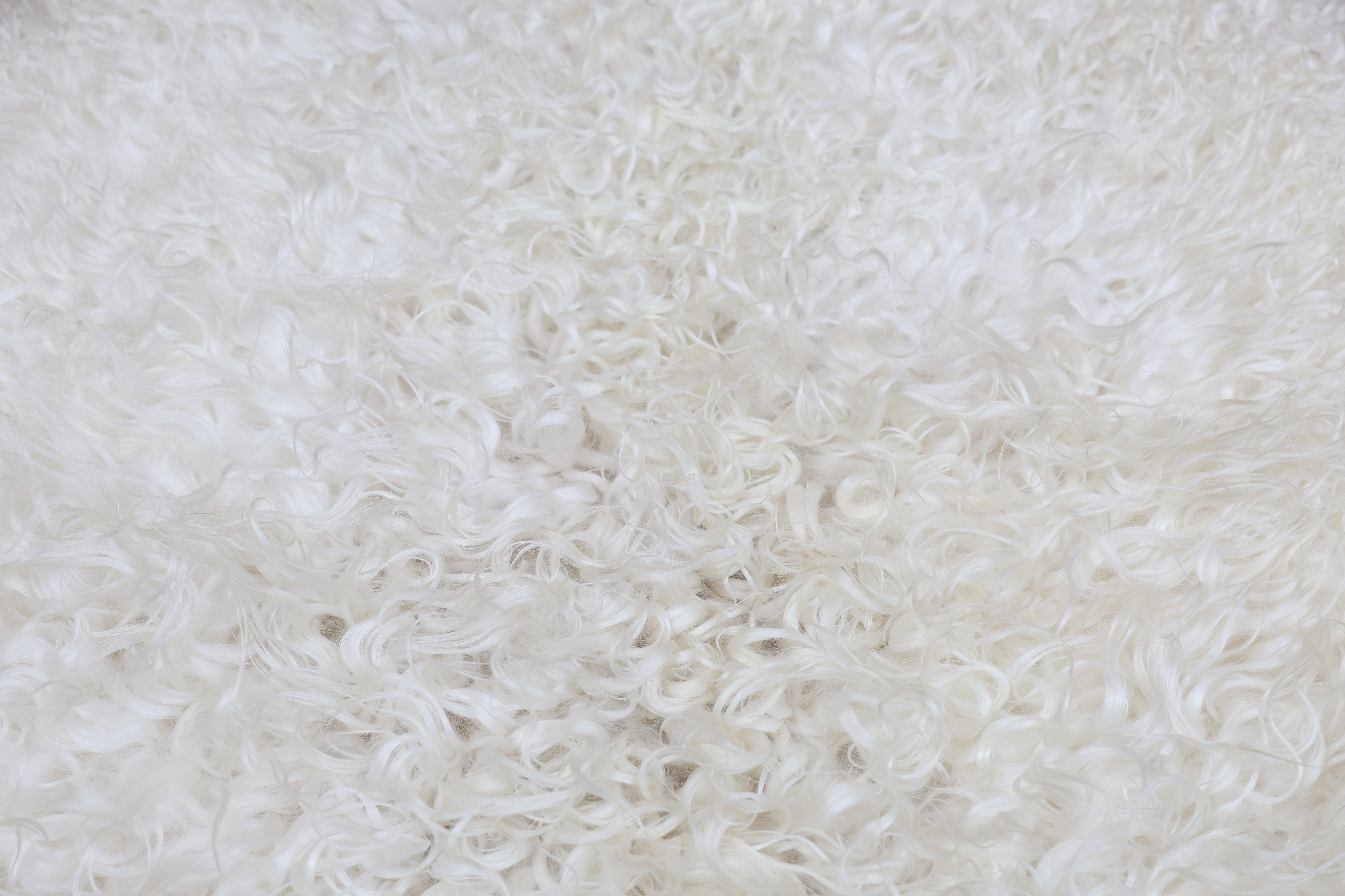 White Leicester Longwool Sheepskin #4