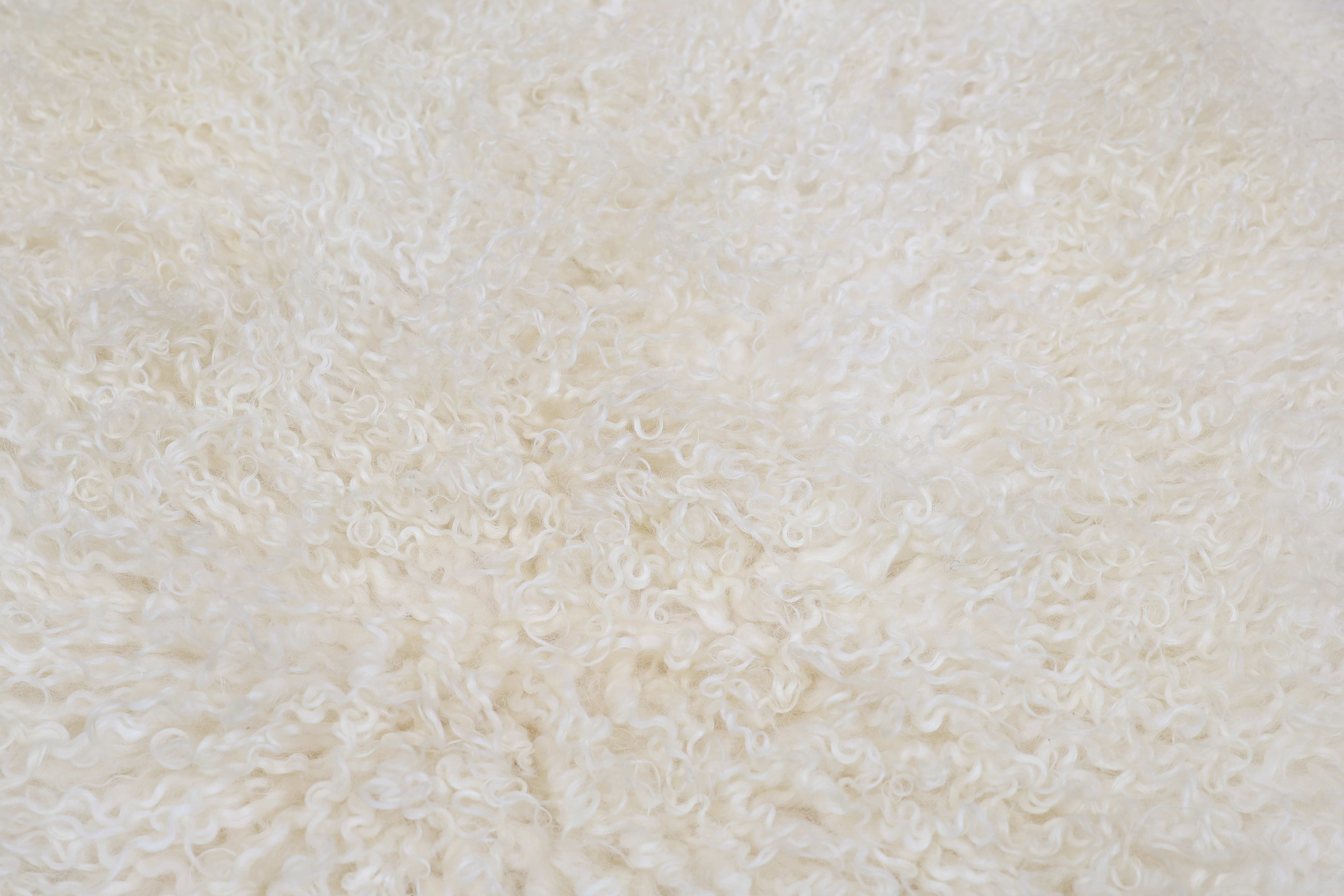 White Leicester Longwool Sheepskin #5