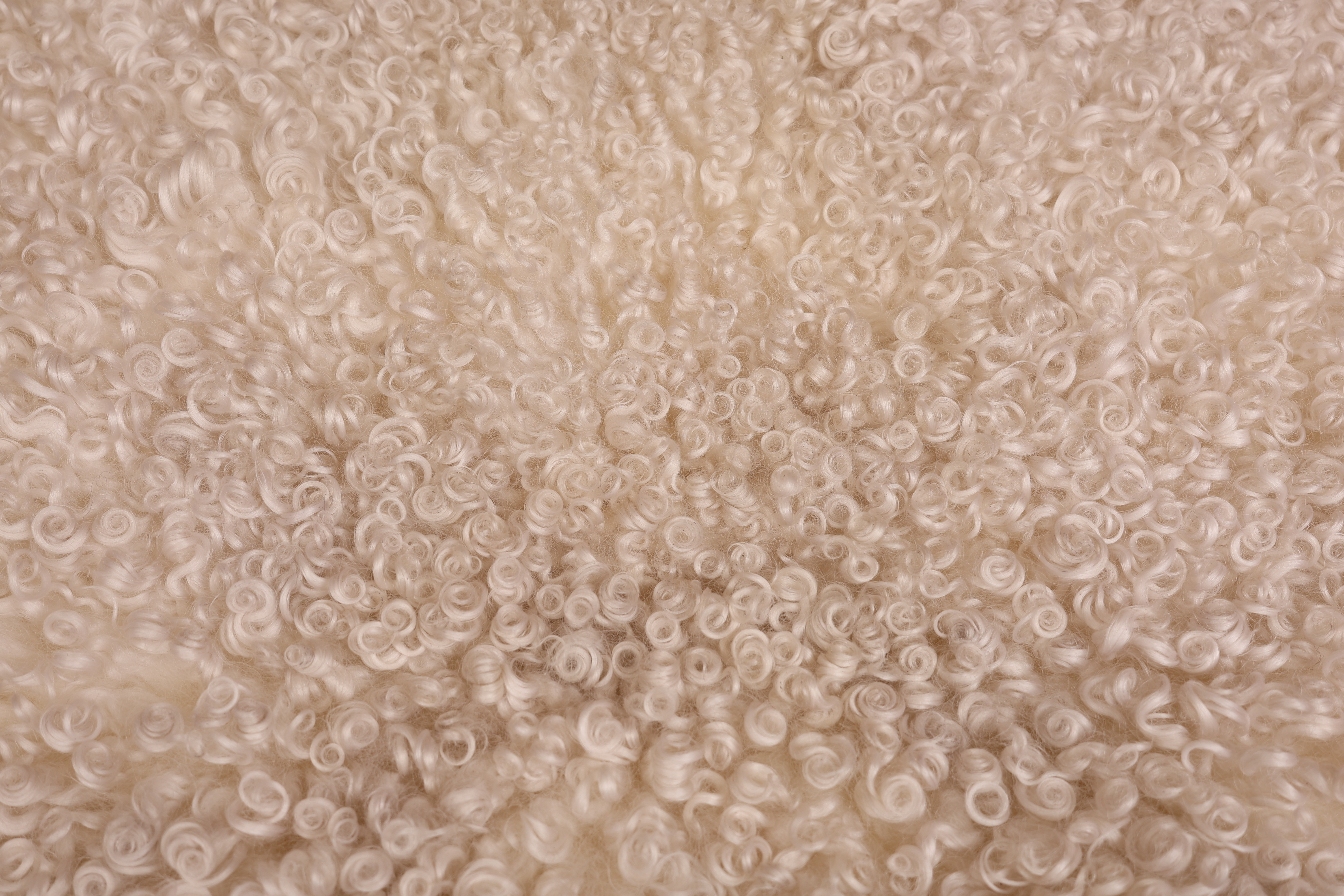 White Gotland Sheepskin #5
