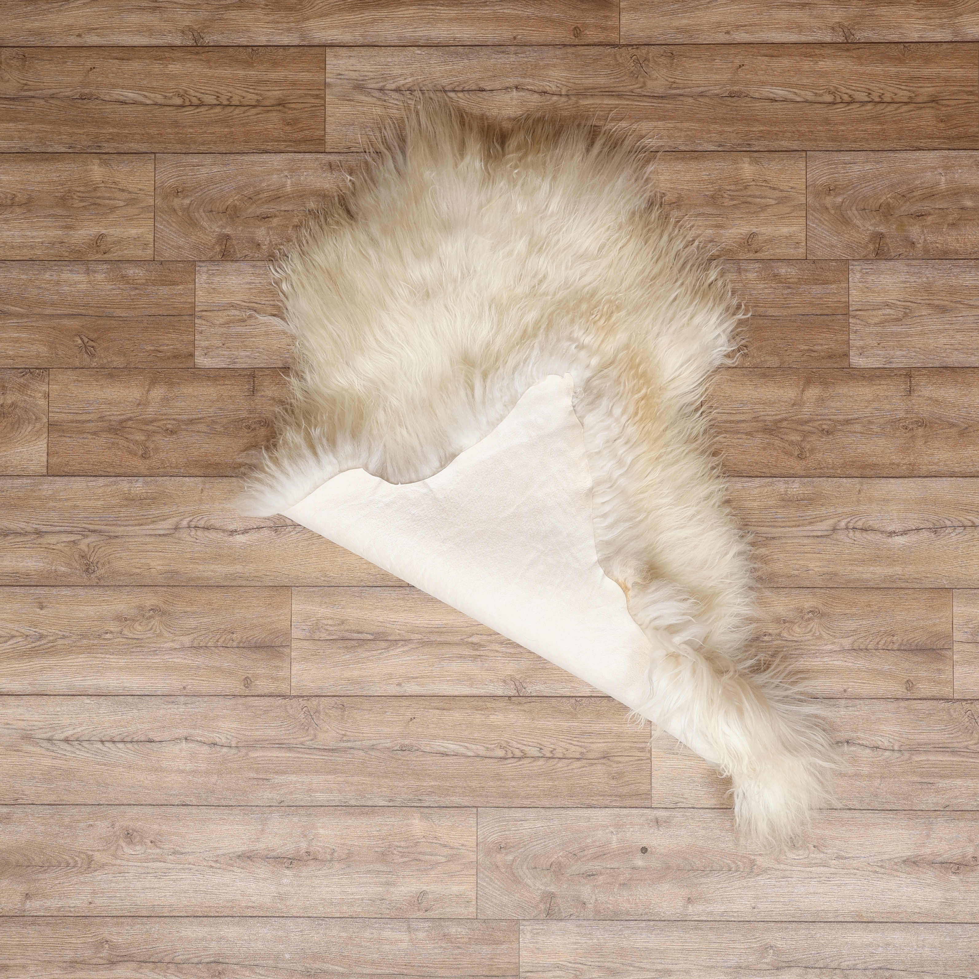 White Icelandic Sheepskin #1