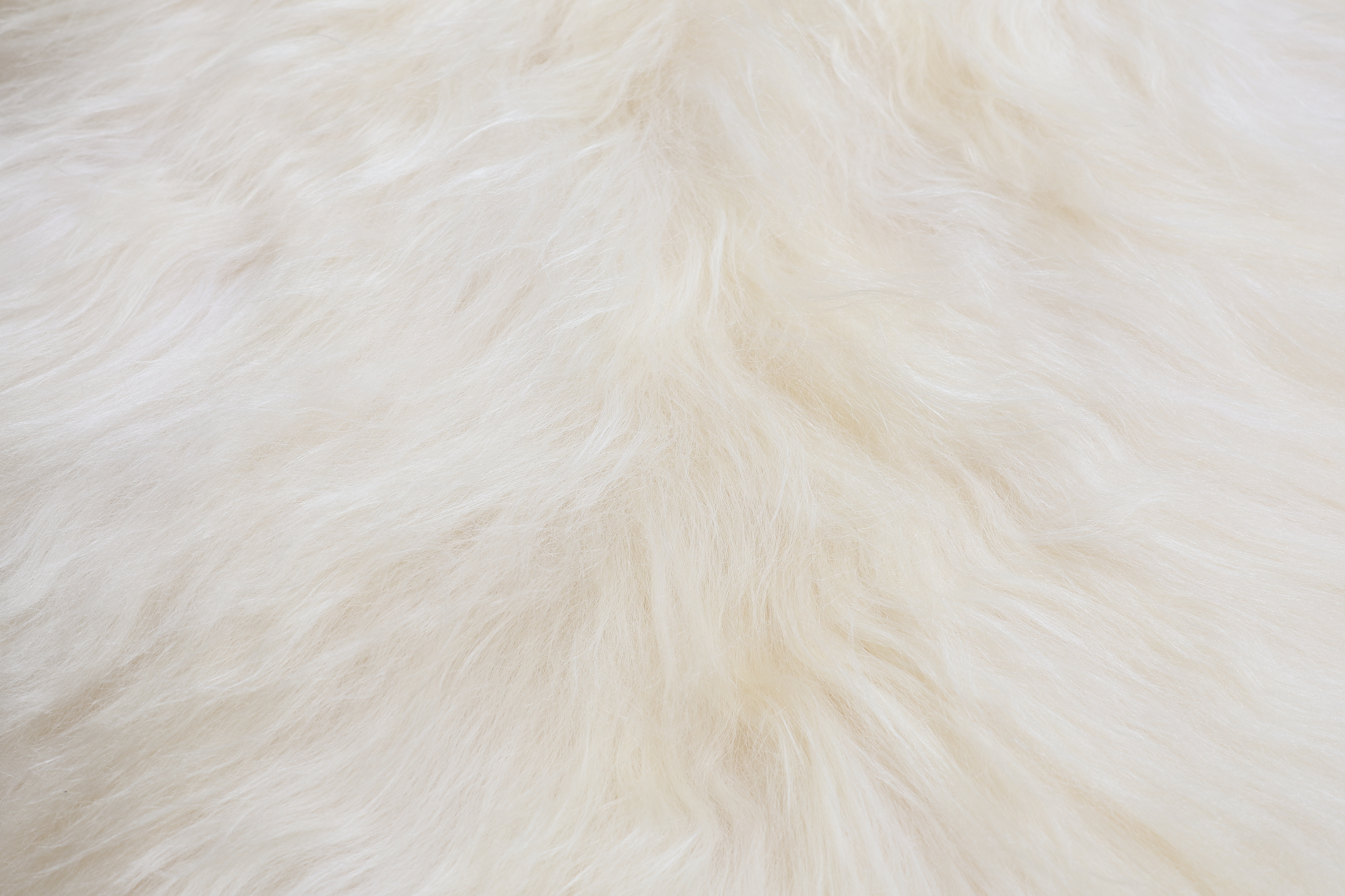 White Icelandic Sheepskin #3