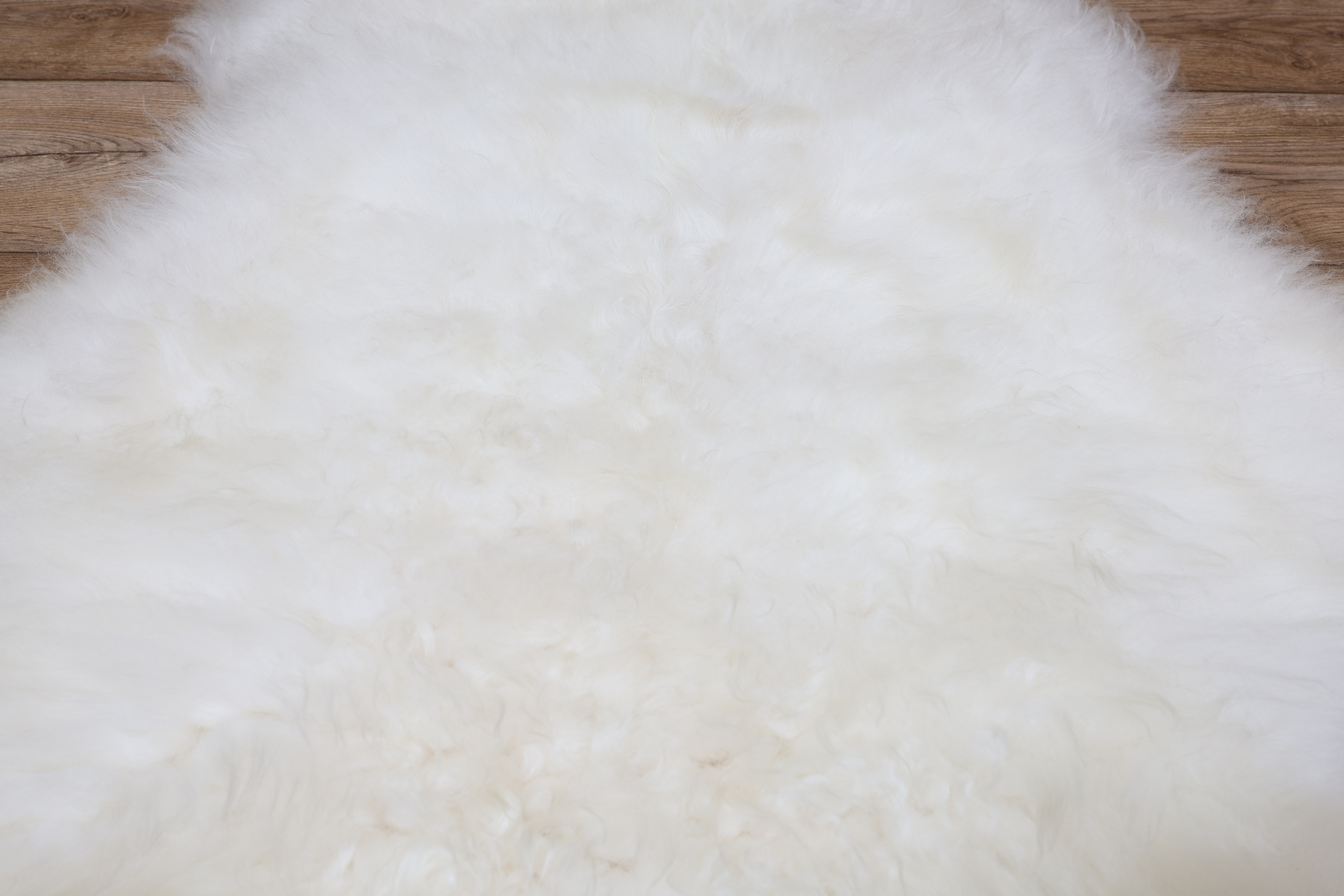 White Icelandic Sheepskin #5