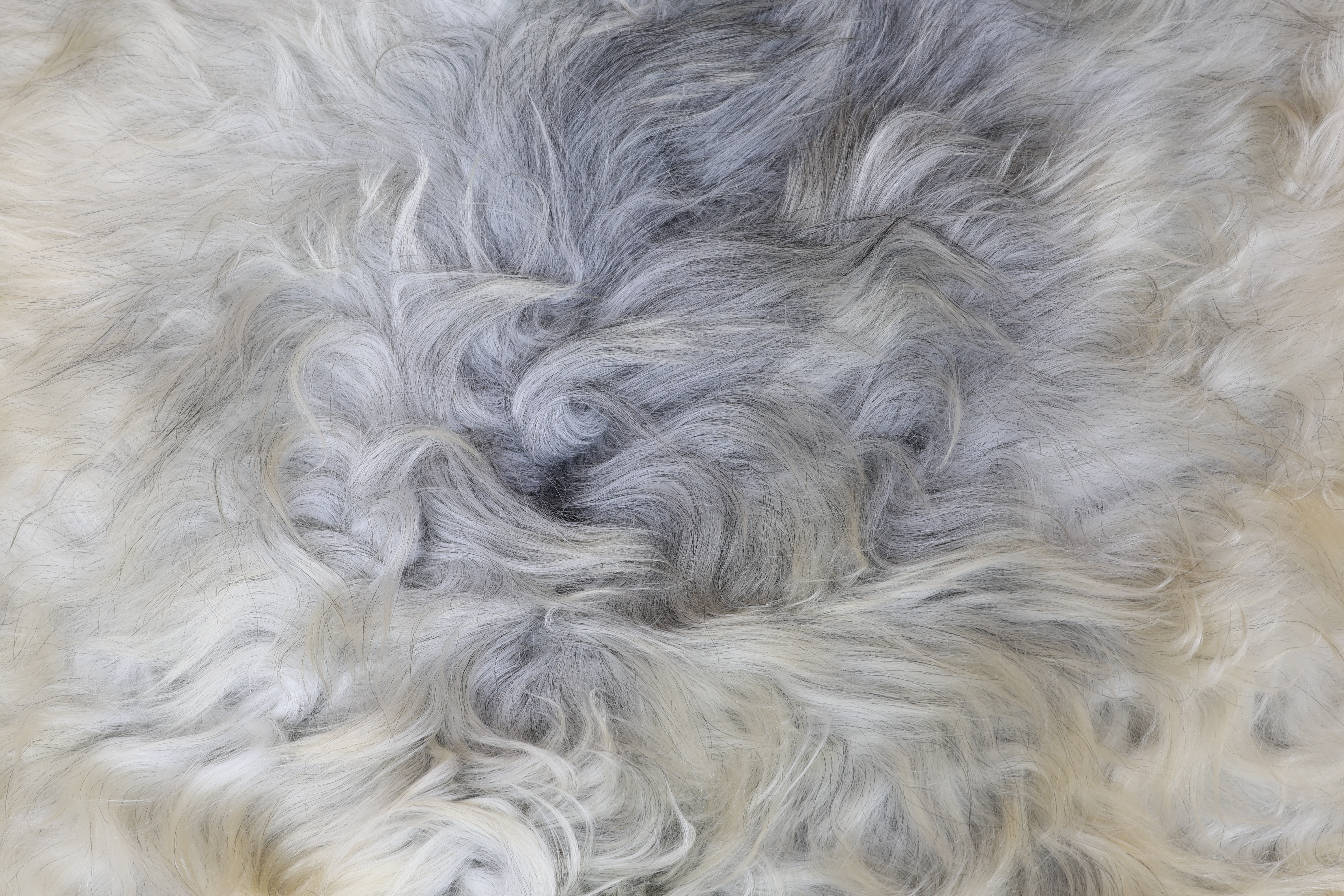 Natural Grey Icelandic Sheepskin #18