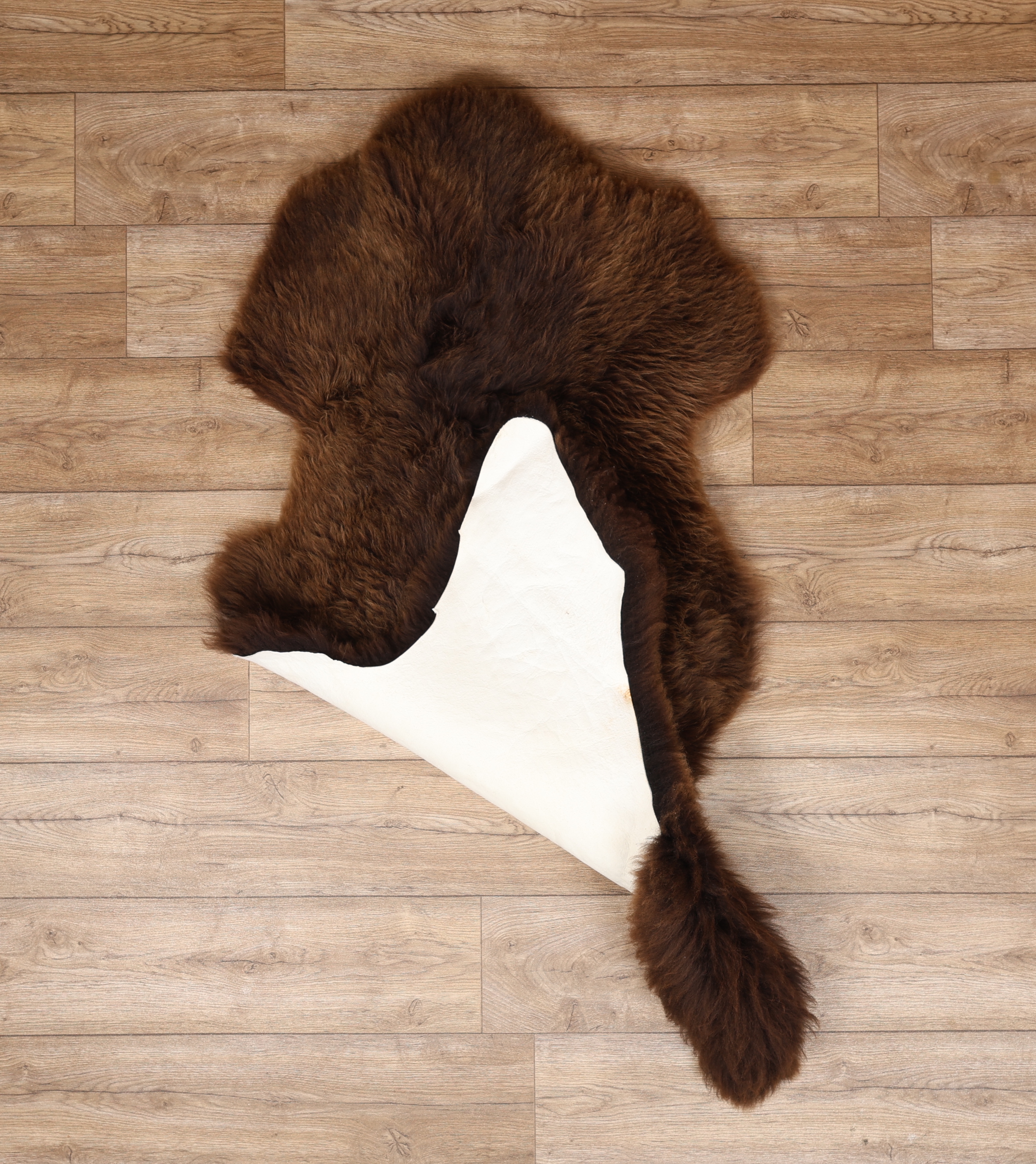 Rarebreed British Sheepskin Rug #3