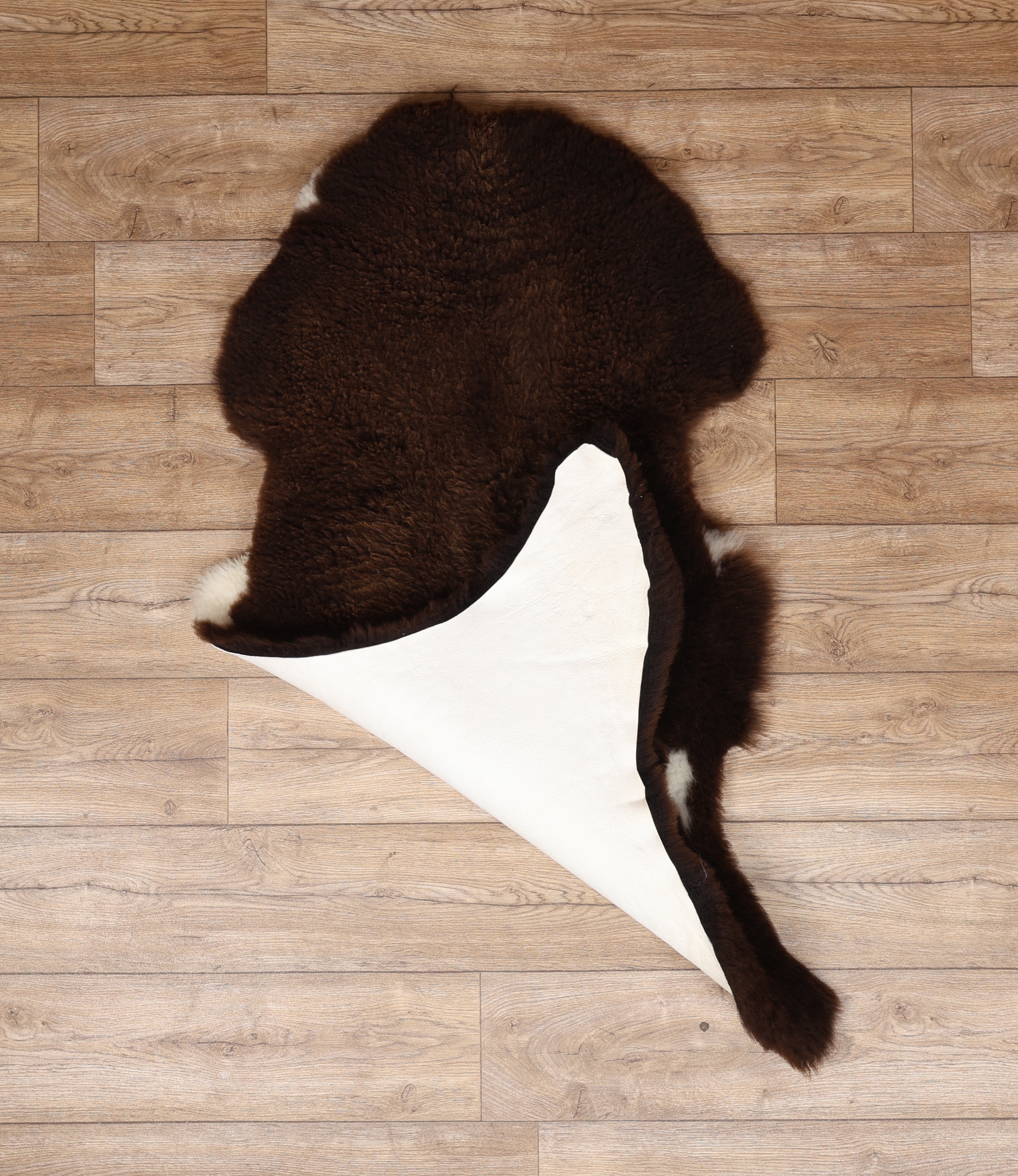 Rarebreed British Sheepskin Rug #6