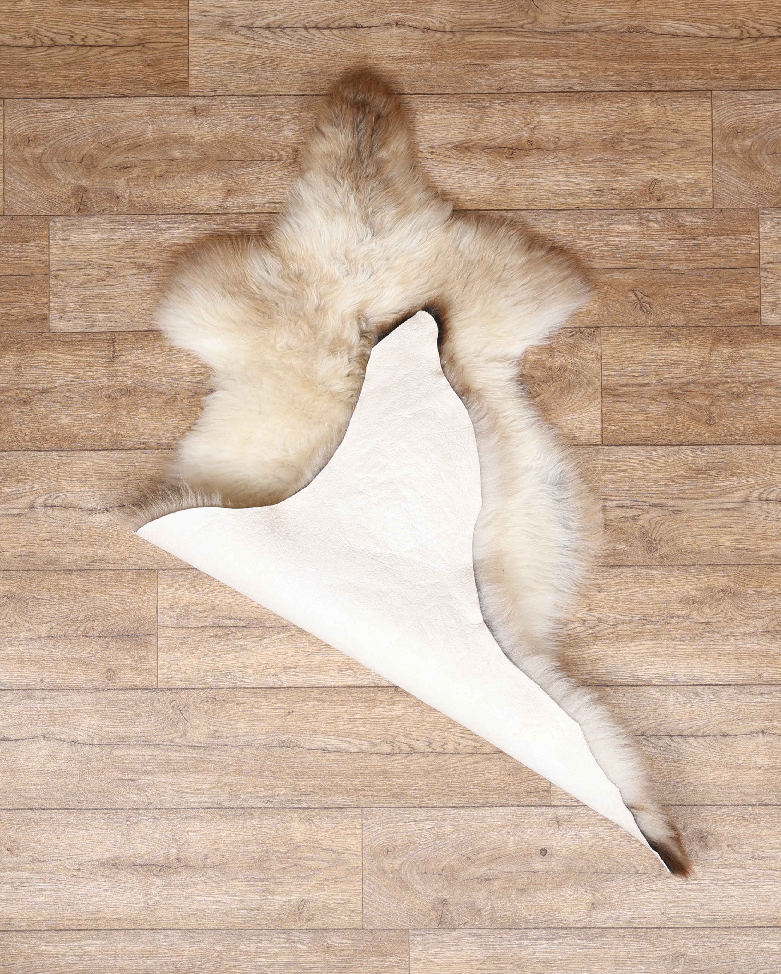 Rarebreed British Sheepskin Rug #8