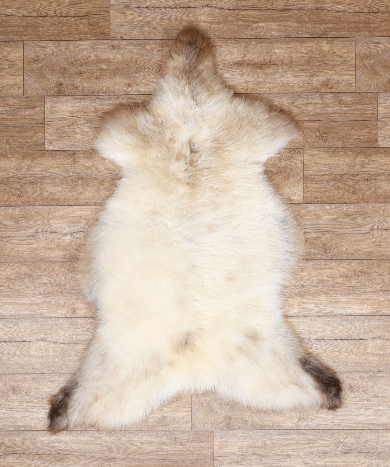 Rarebreed British Sheepskin Rug #8