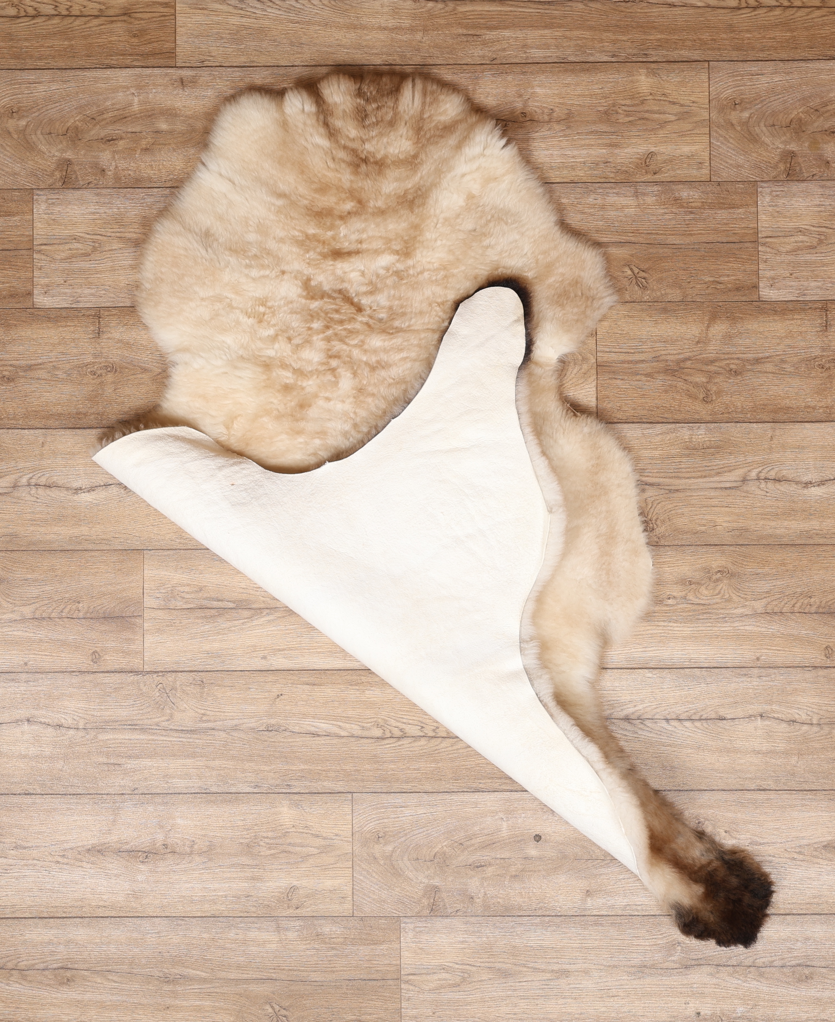 Rarebreed British Sheepskin Rug #10