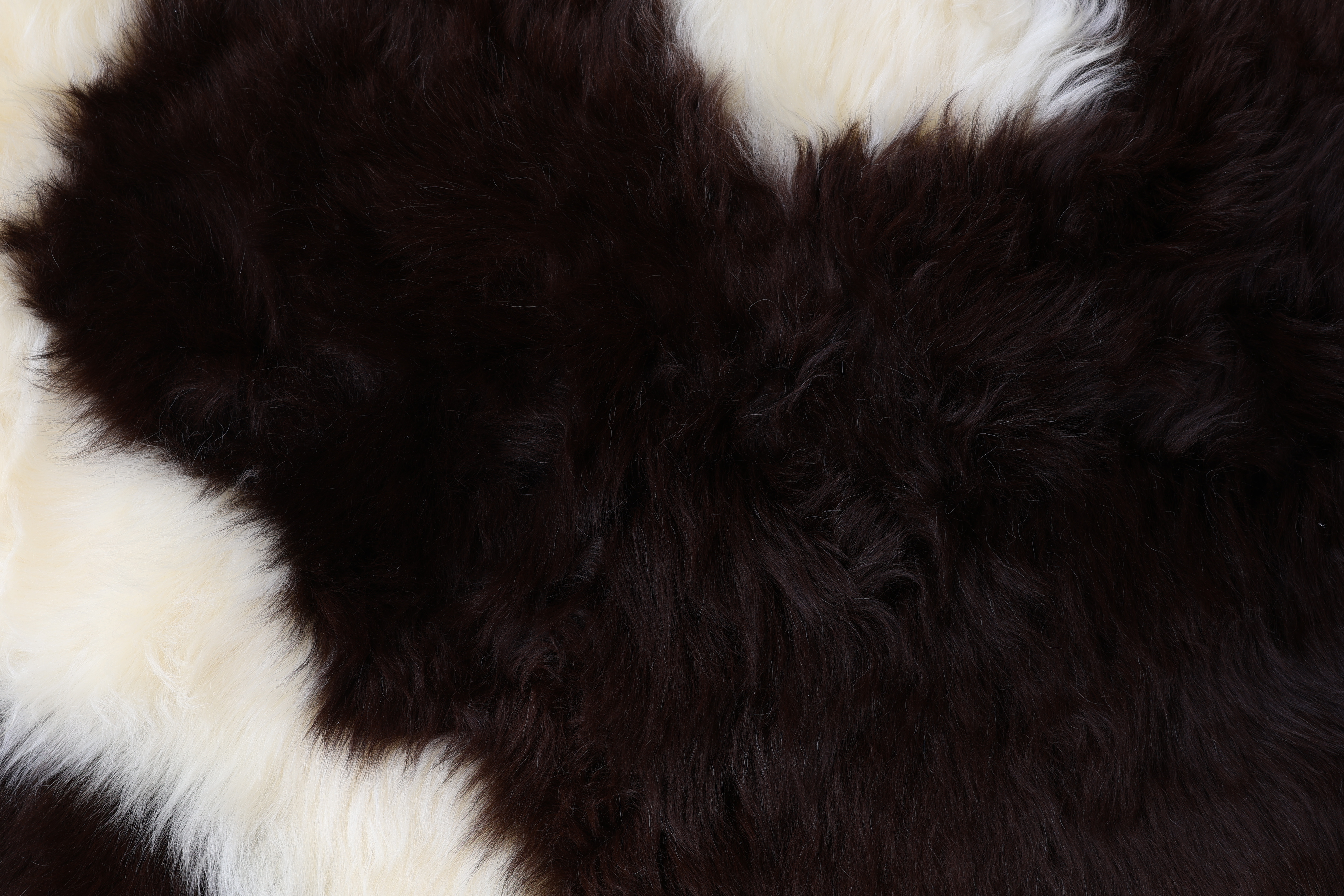 British Jacob Sheepskin Rug #2
