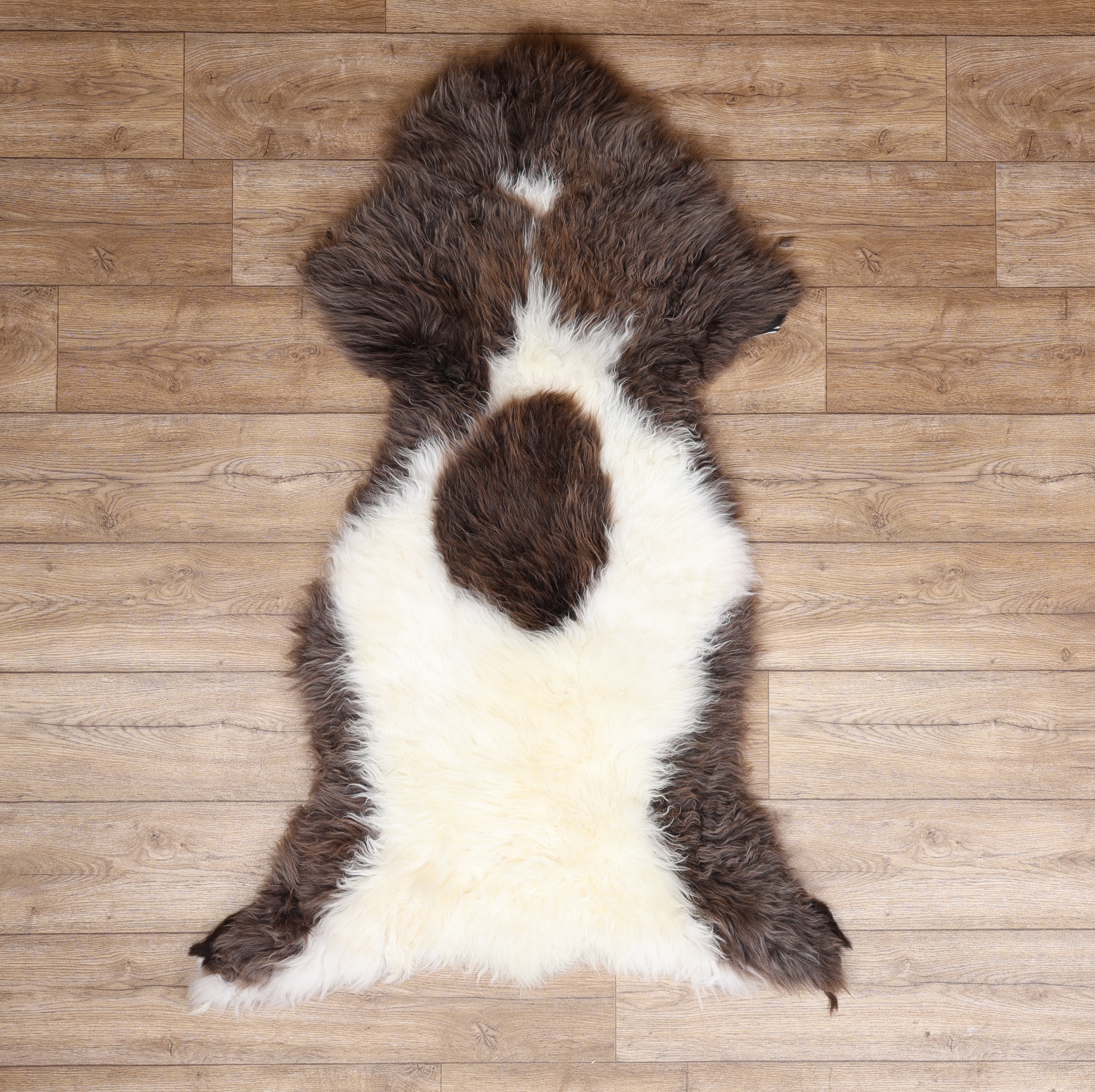 British Jacob Sheepskin Rug #3
