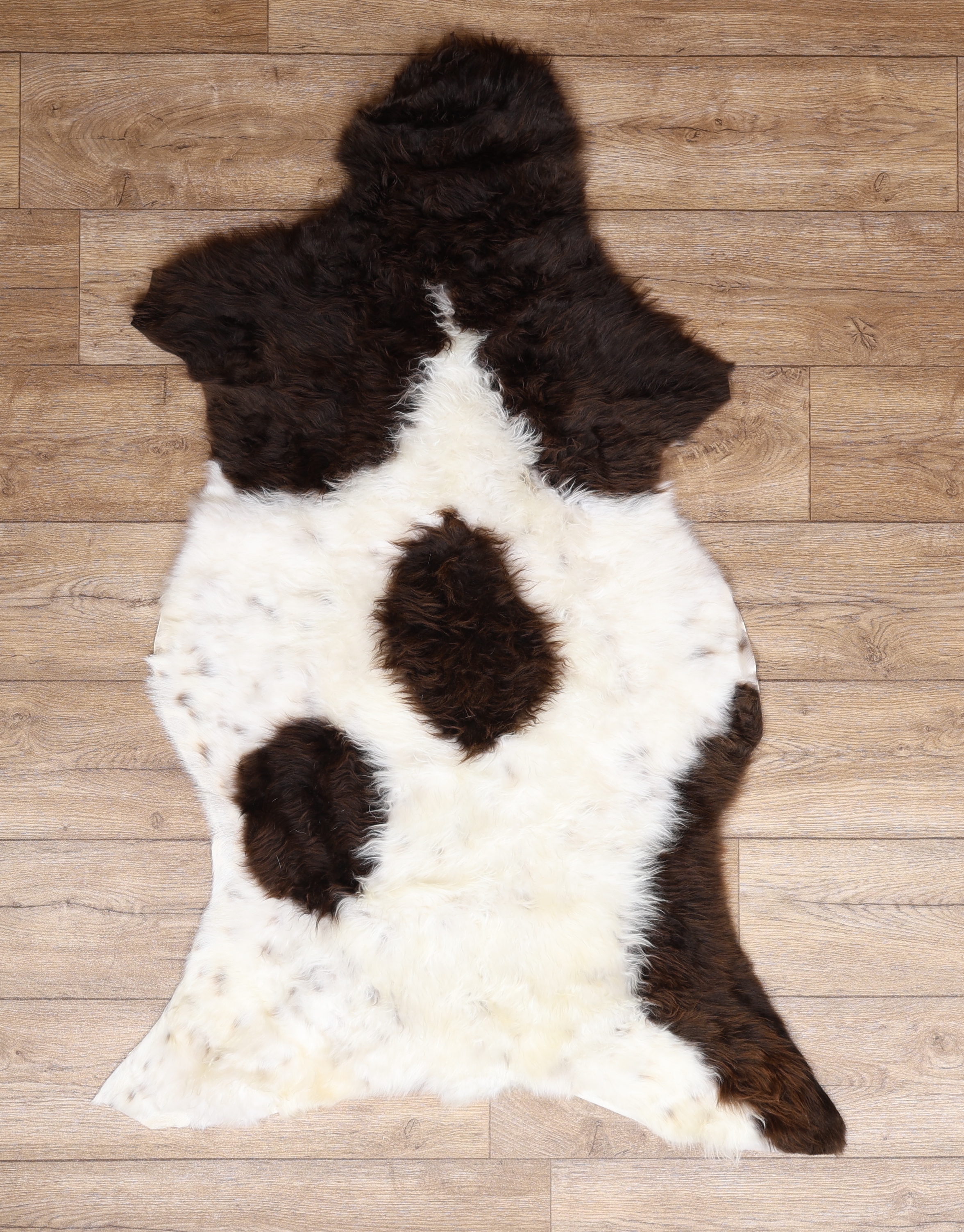 British Jacob Sheepskin Rug #4