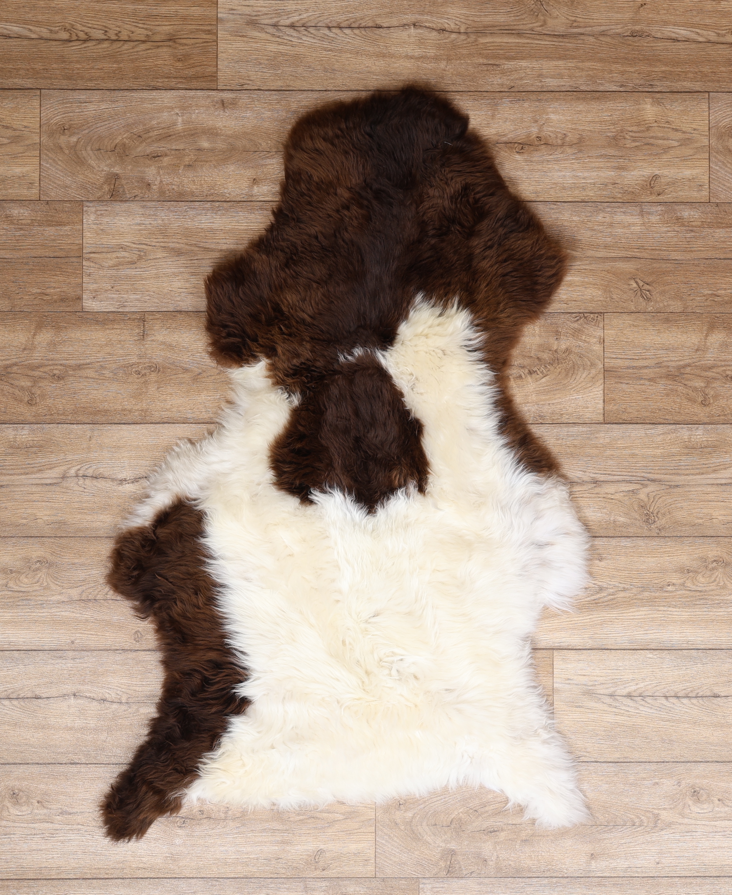 British Jacob Sheepskin Rug #6