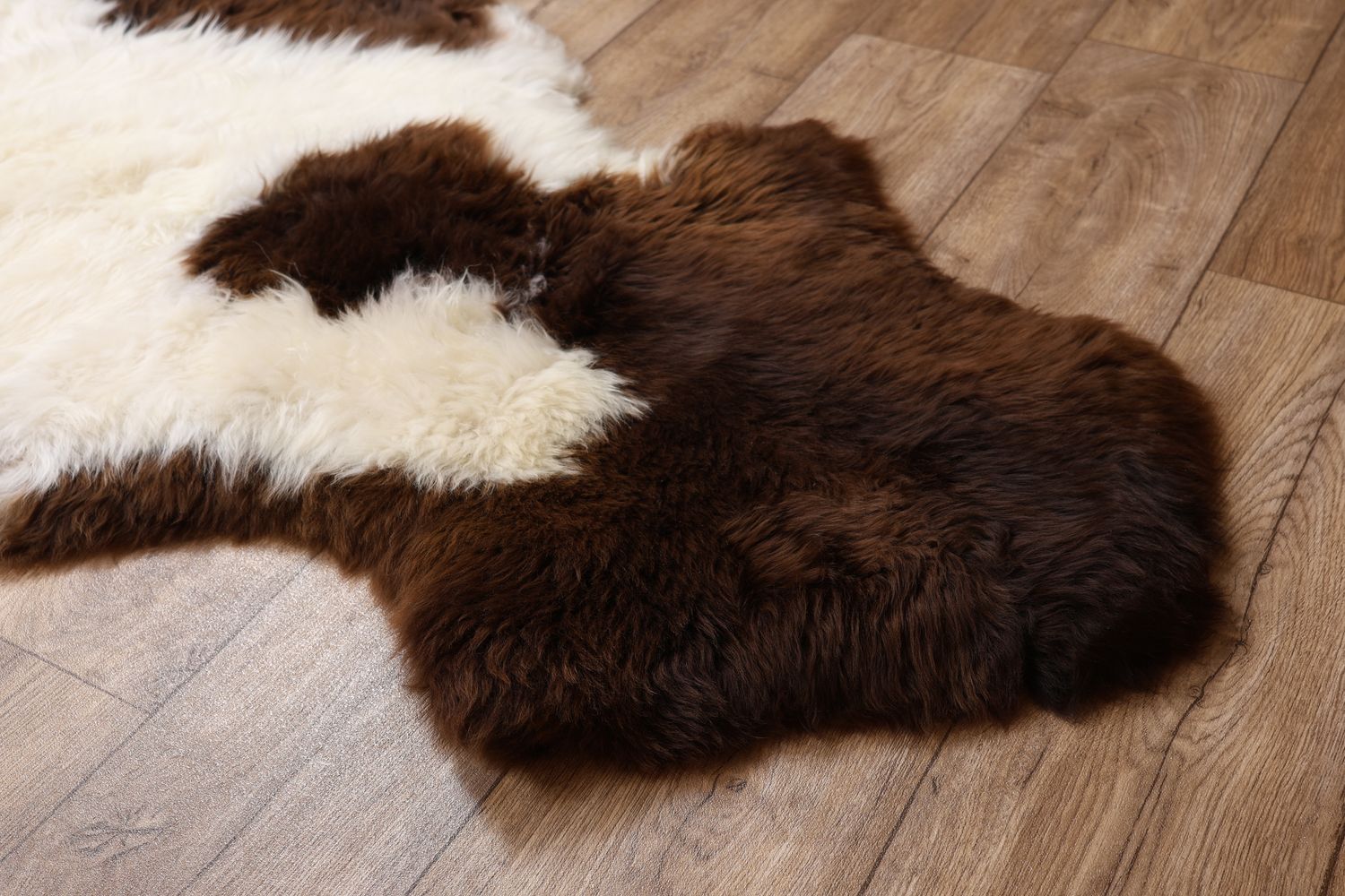 British Jacob Sheepskin Rug #6