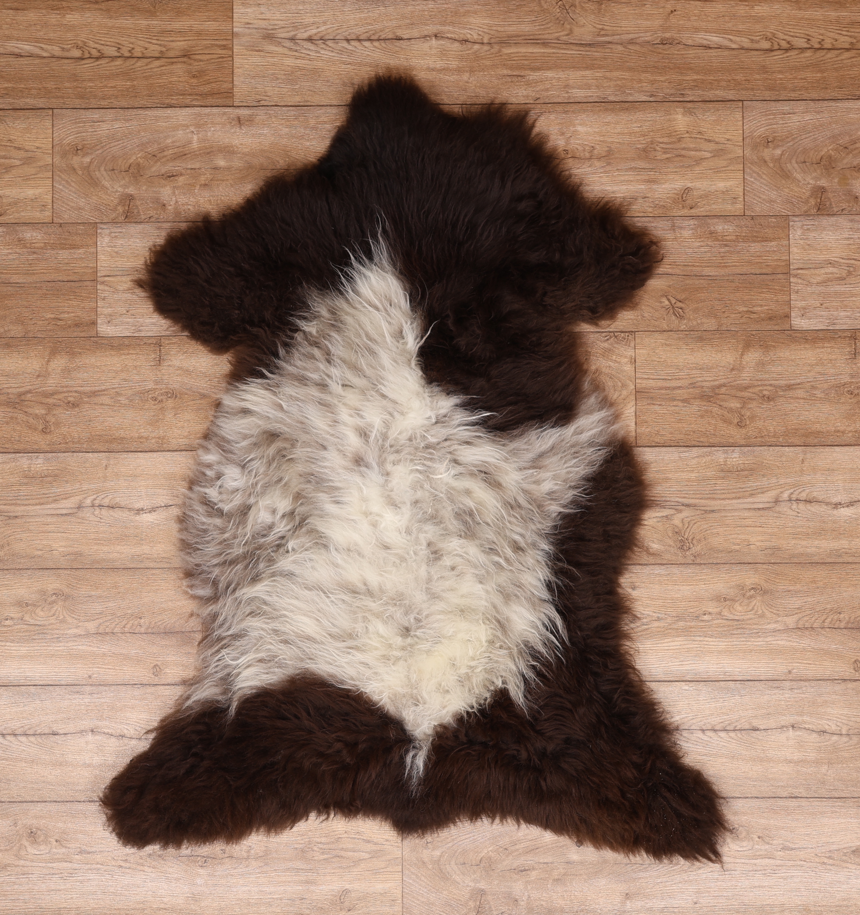 British Jacob Sheepskin Rug #9