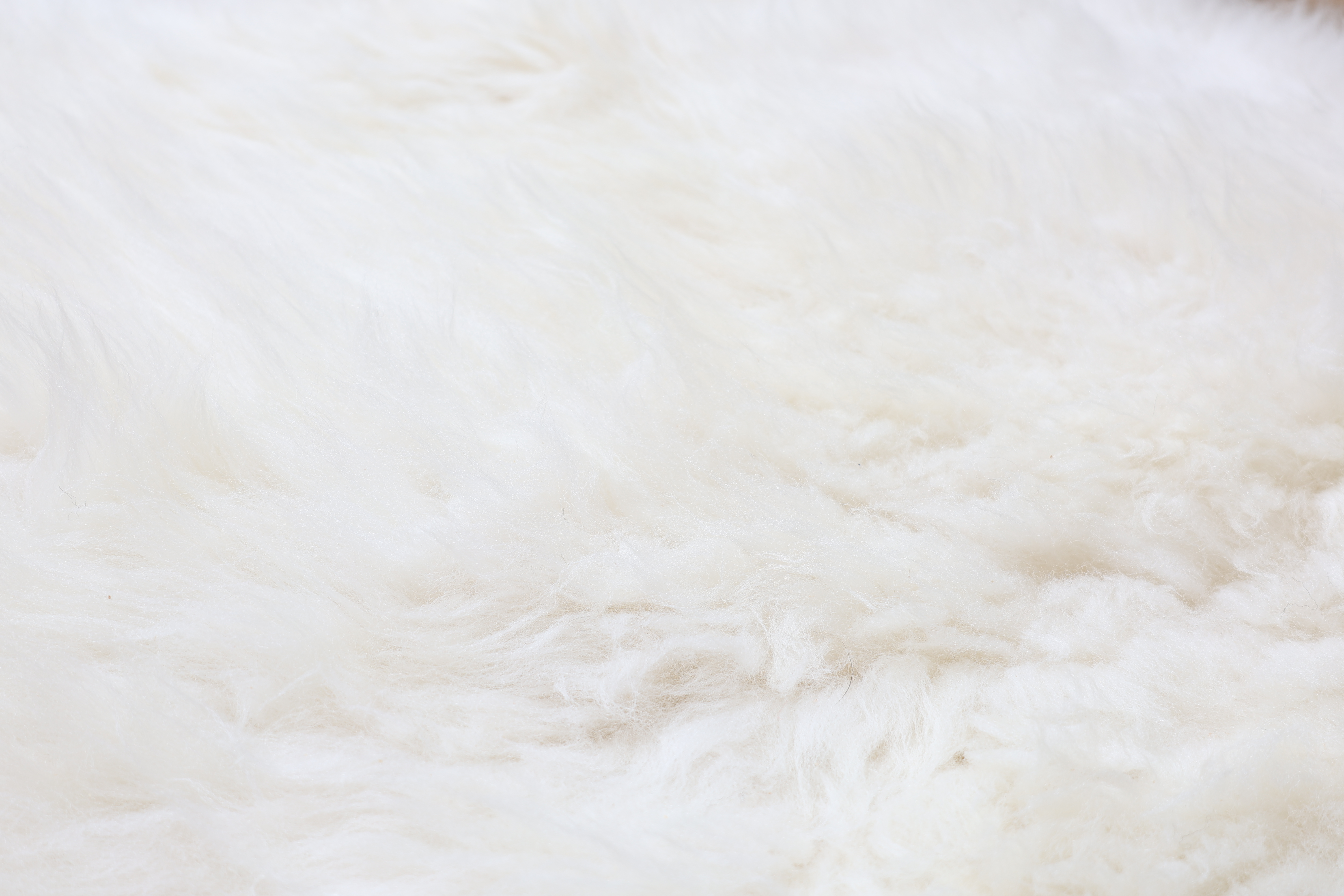 Natural White Sheepskin Rug #5