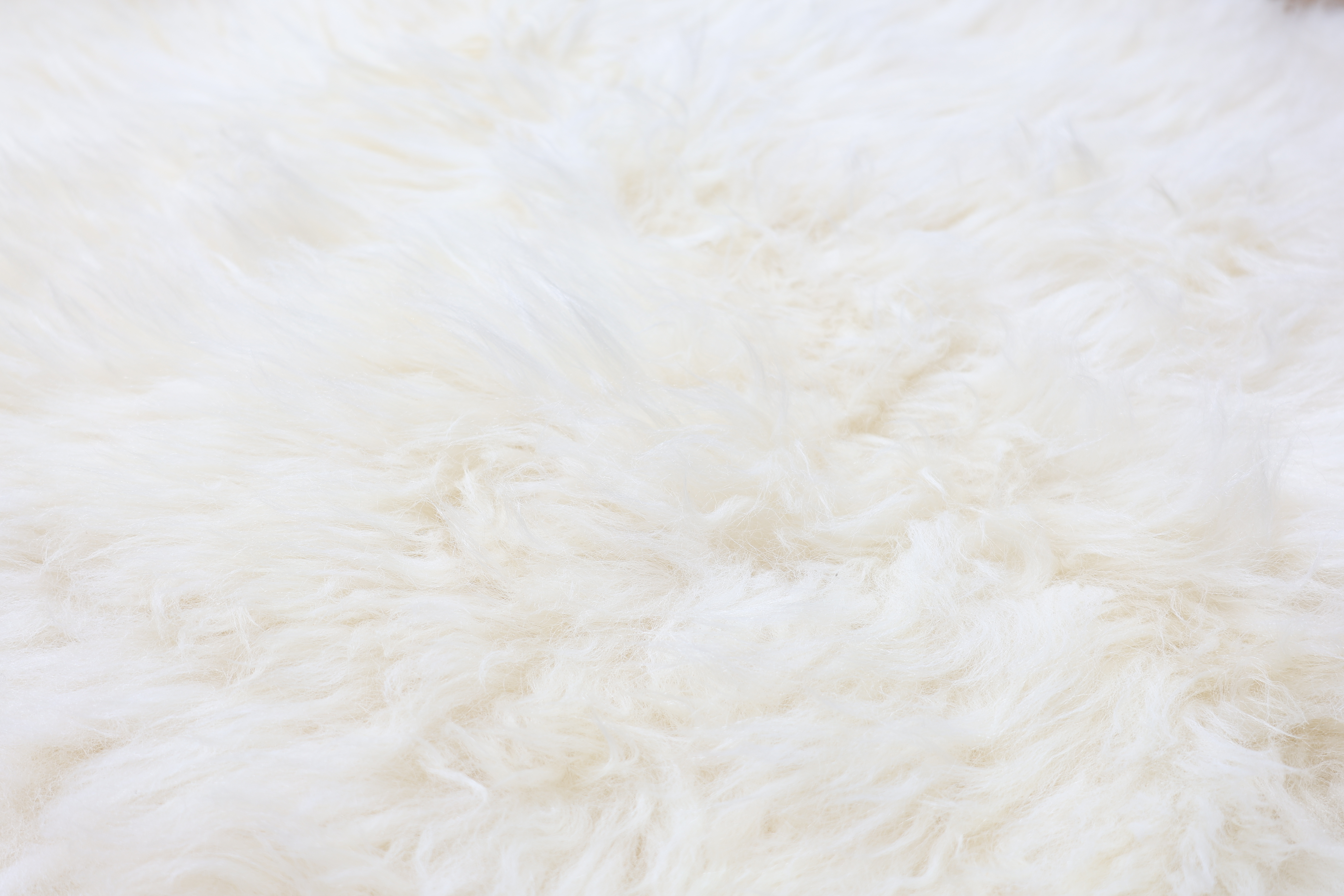 Natural White Sheepskin Rug #6