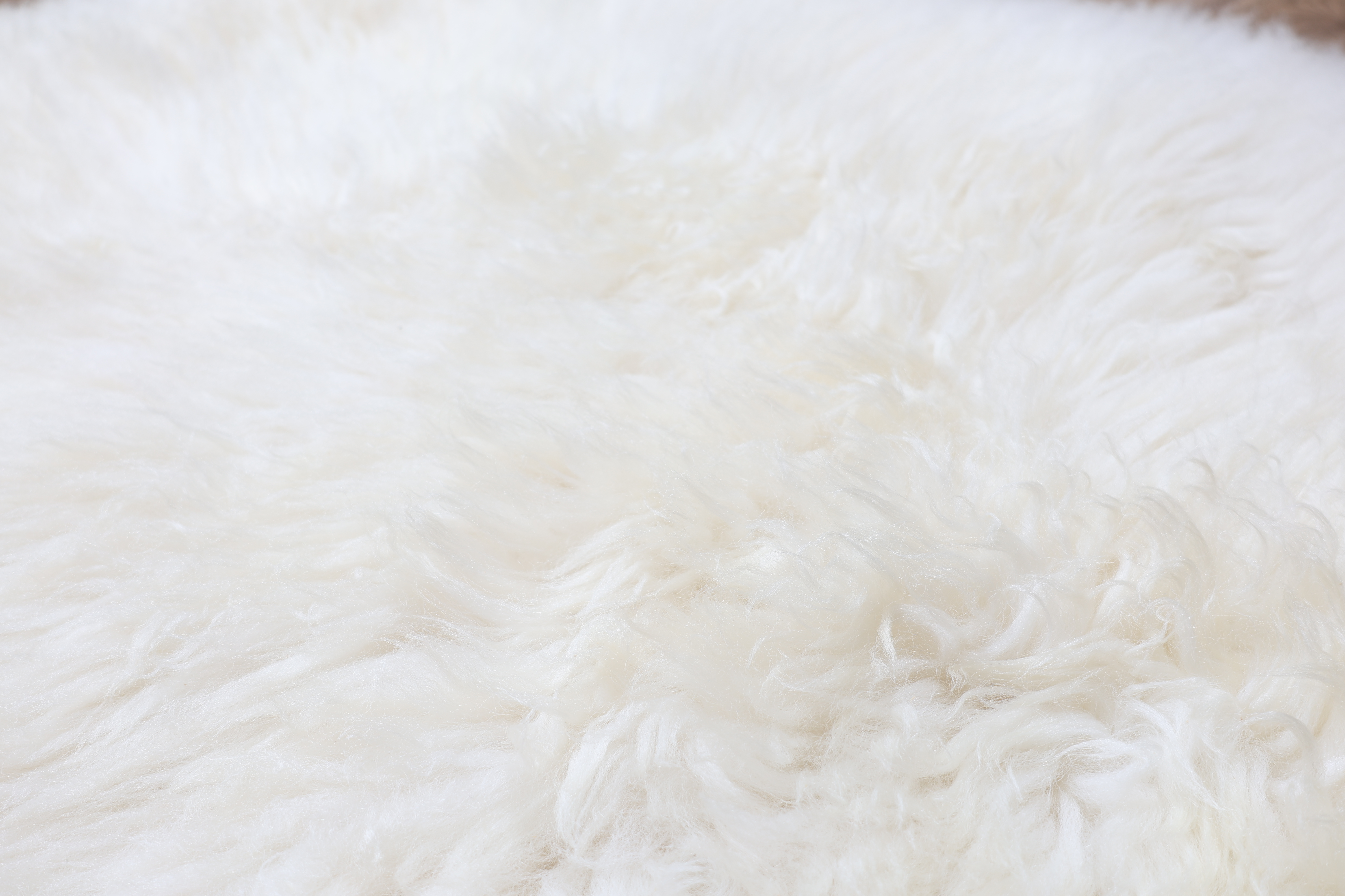 Natural White Sheepskin Rug #8