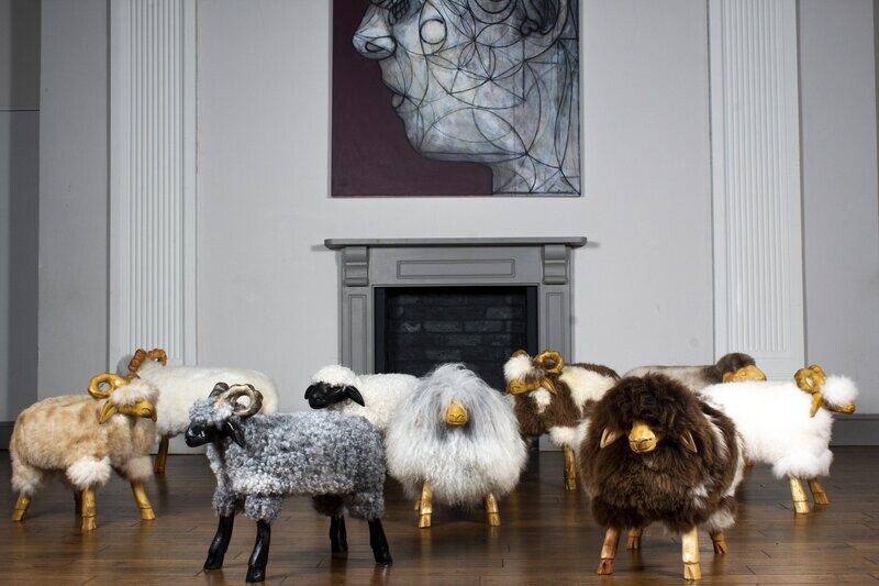 Sheep