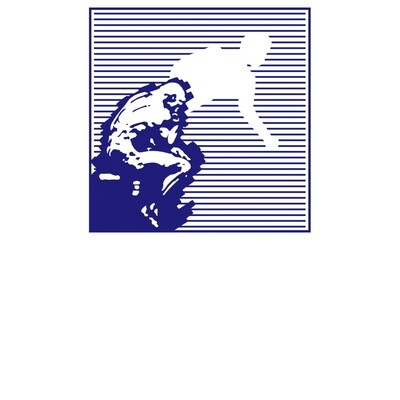 The Rodin Group