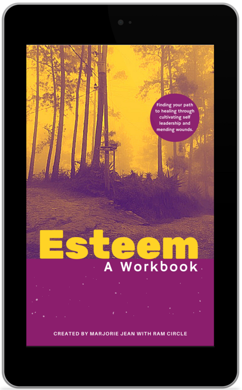 ESTEEM Workbook | e-Book