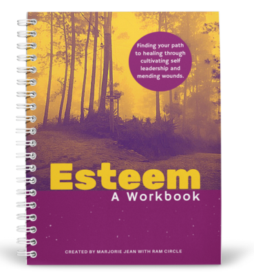 ESTEEM Workbook | Spiral, Soft-Cover Journal