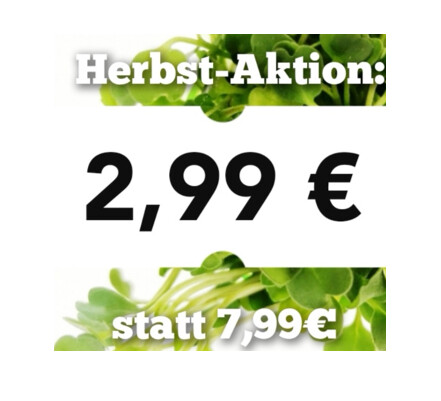 6 x Soil-MicroGreen Pads - Rucola