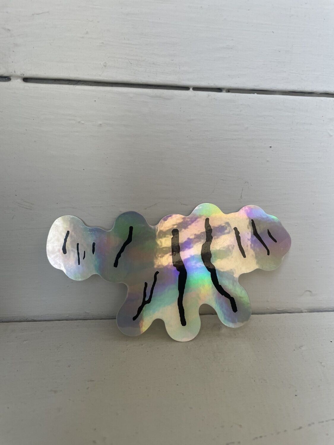 Finger Lakes Holographic Sticker