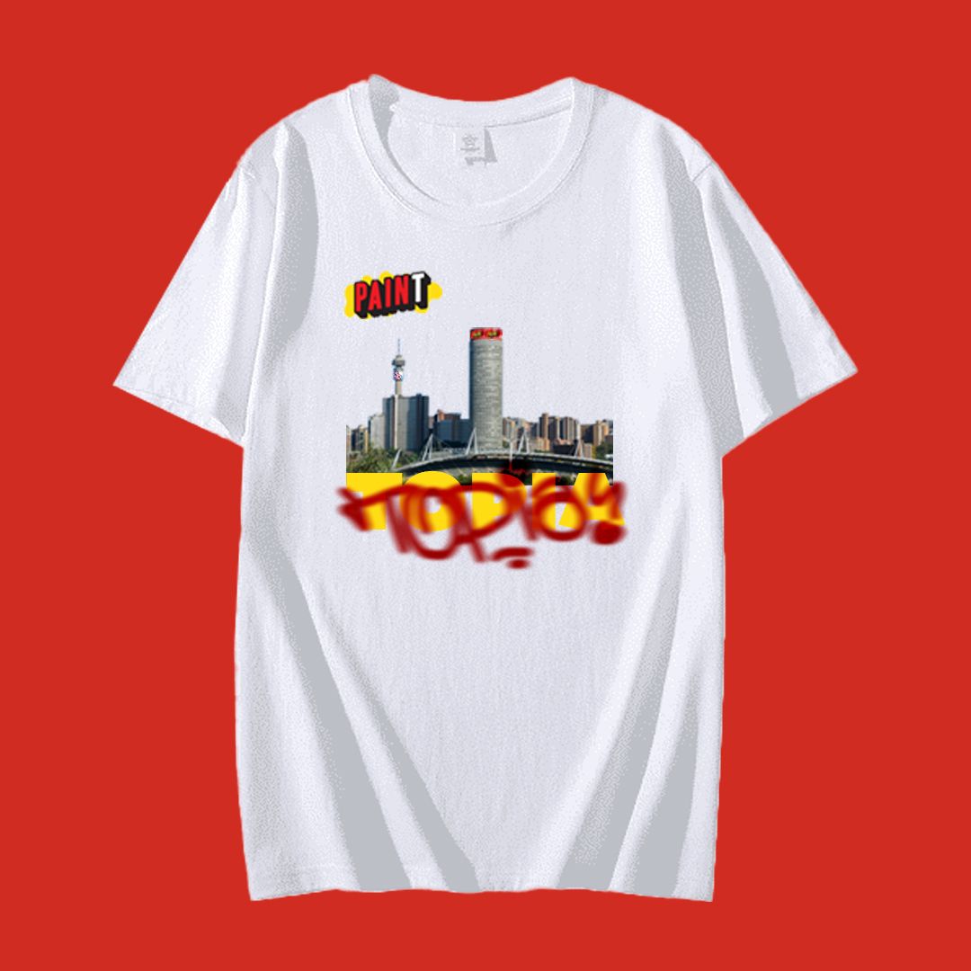 PAINT-Topia T