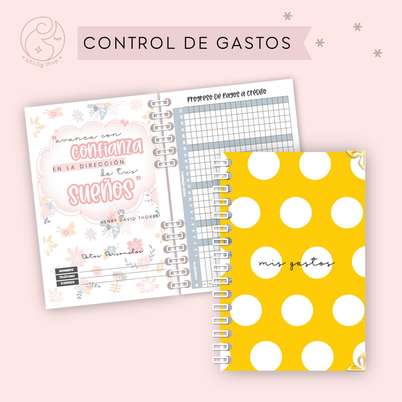 Control de Gastos