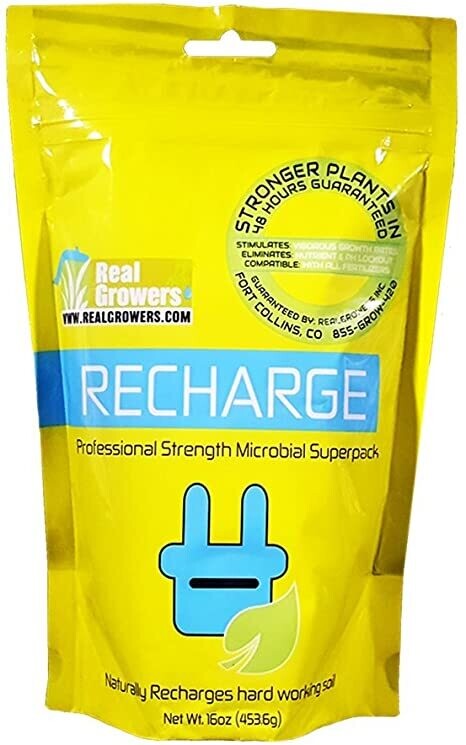 Real Growers Recharge 16 oz