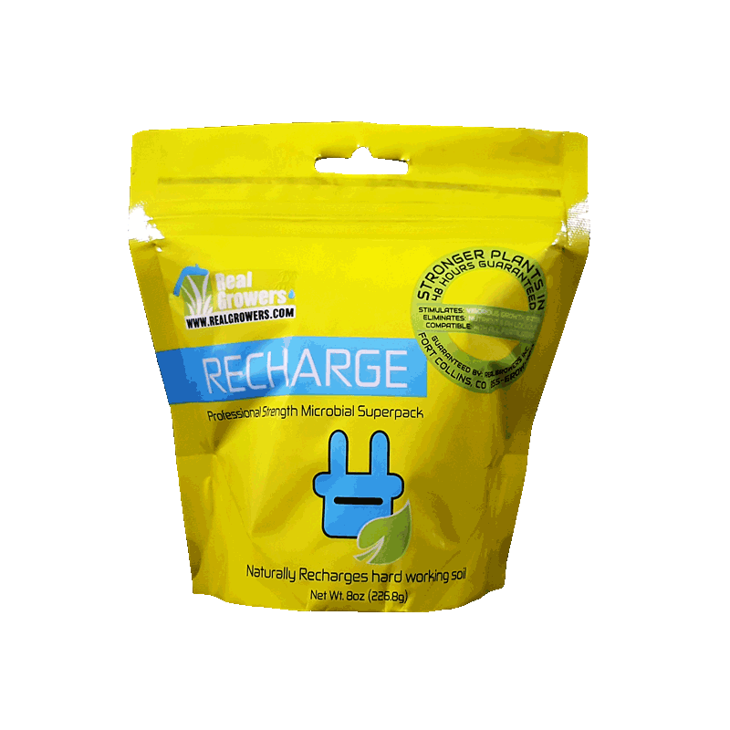 Real Growers Recharge 8 oz