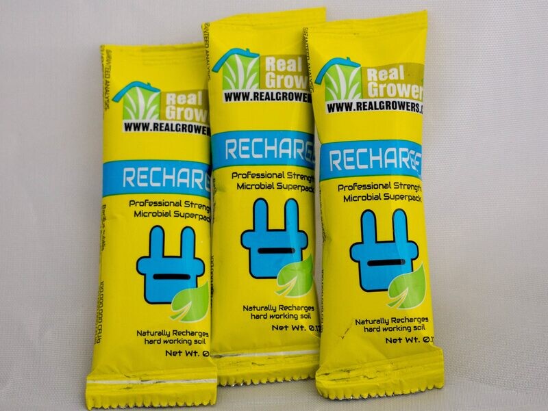 Real Growers Recharge Single Stick 