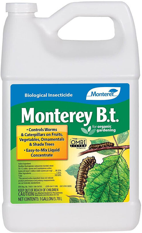 Monterey BT (GAL)