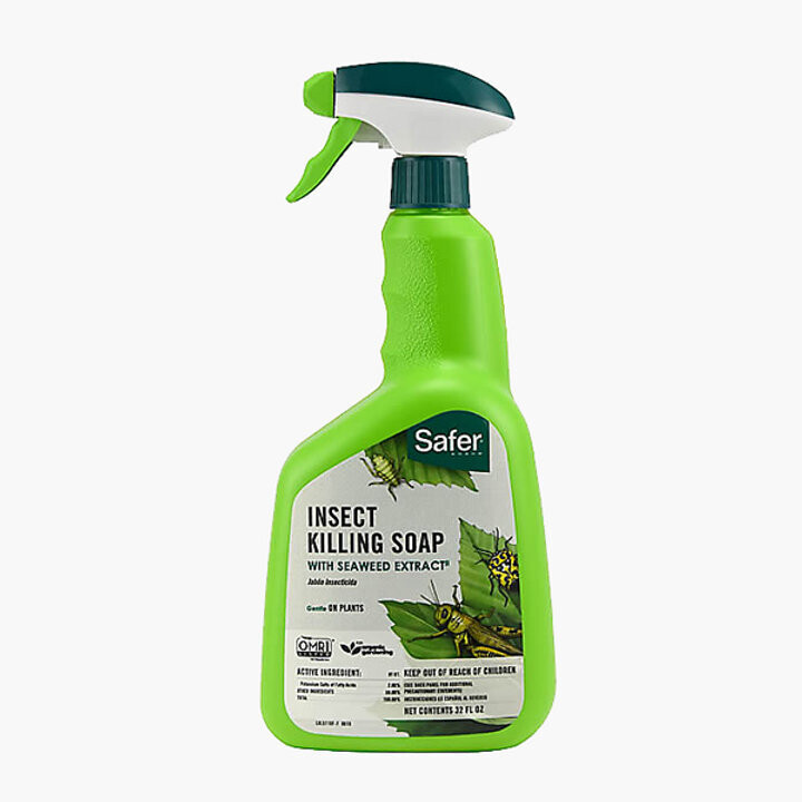 Safer Insect Killing Soap with Seaweed Extract, 32oz RTU