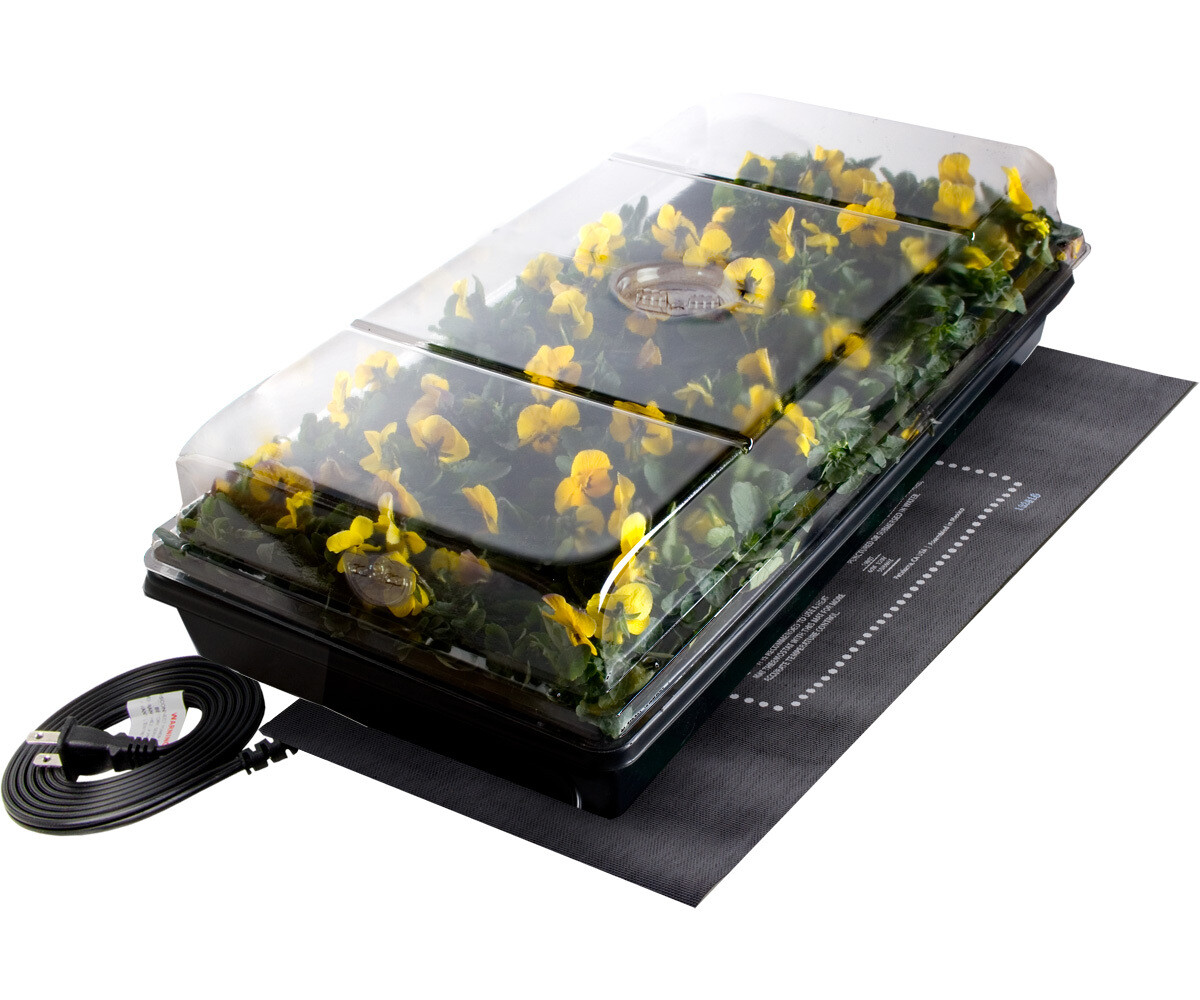 Jump Start Germination Station