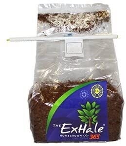ExHale 365-Self Activated CO2 Bag