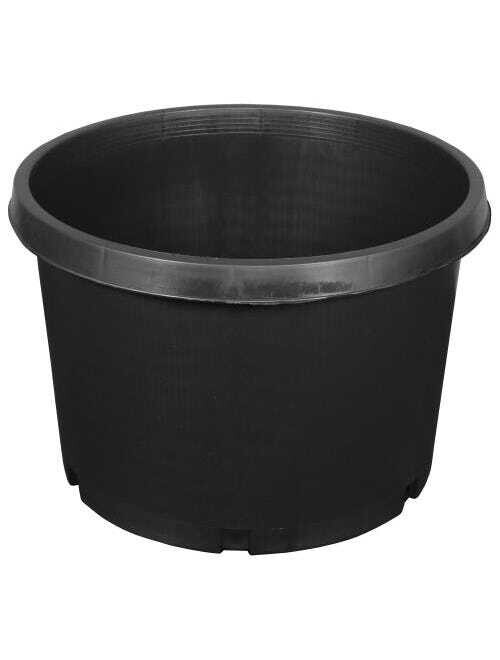 15 Gal Premium Nursery Pot 
