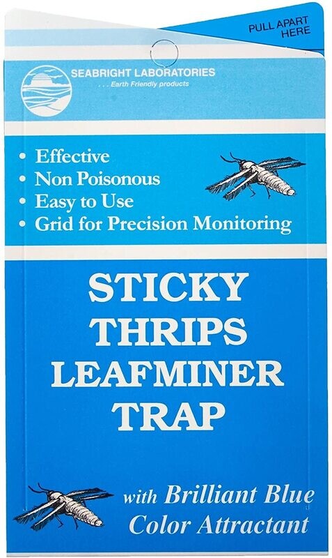 Seabright Laboratories Sticky Thrip Leafminer Trap (5/Pack)