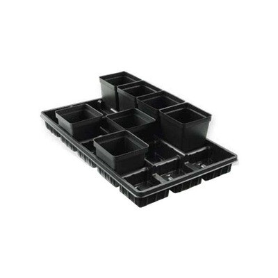 Containers &amp; Trays