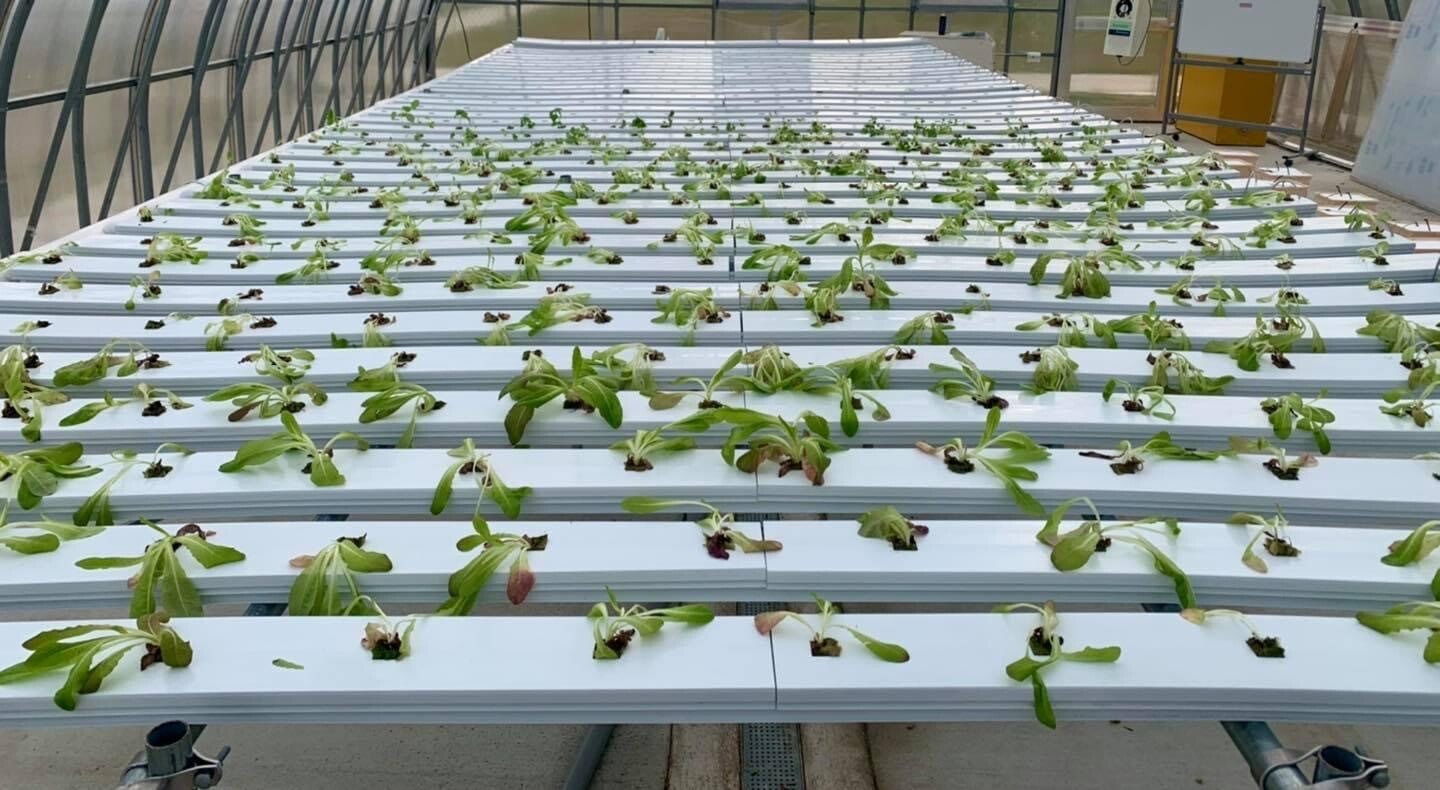 Crop King NFT Channel 8' (Complete)